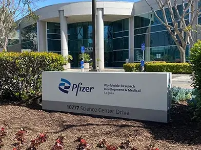 Pfizer Company Profile Pfizer Company Profile