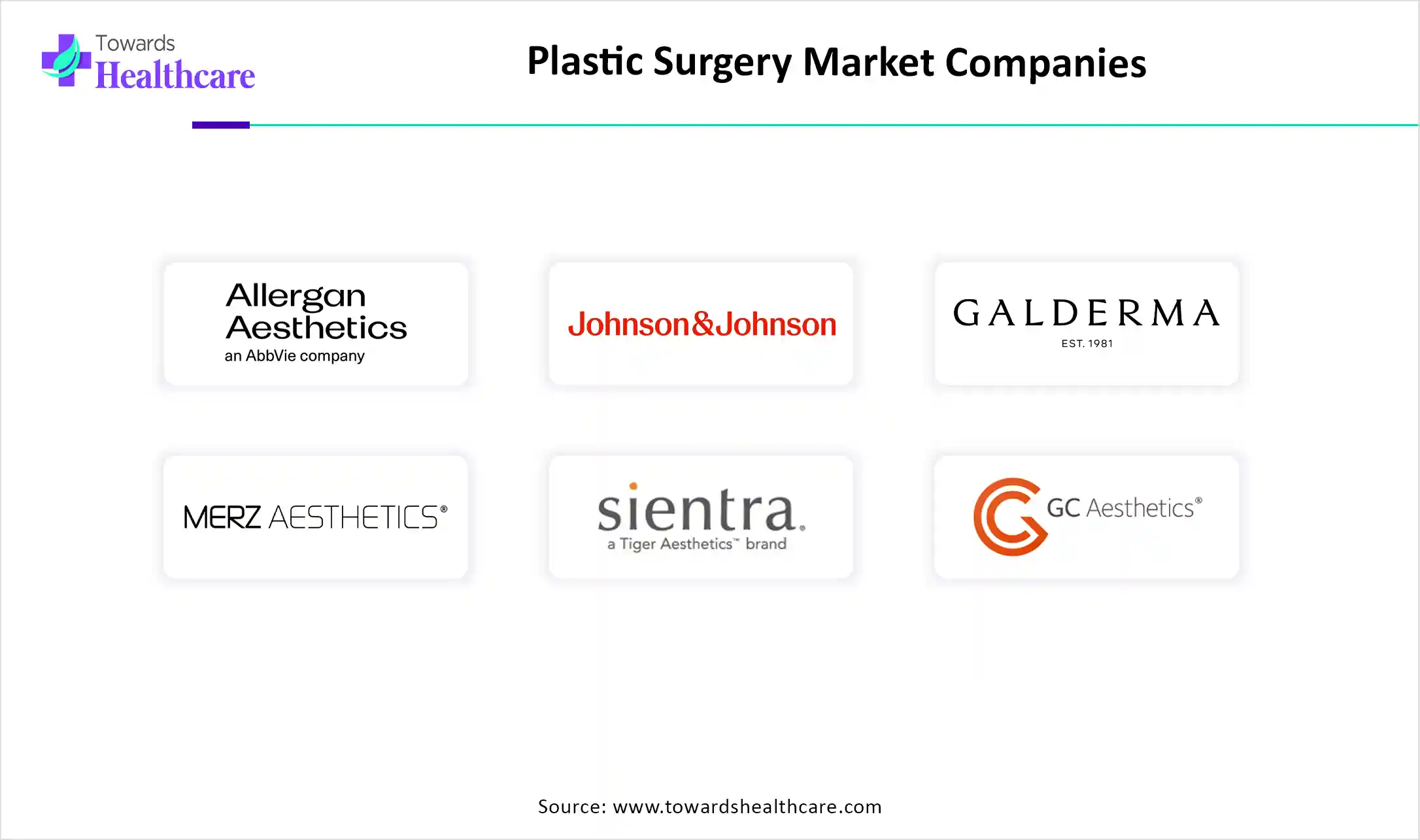 Plastic Surgery Market Top Key Players Plastic Surgery Market Companies