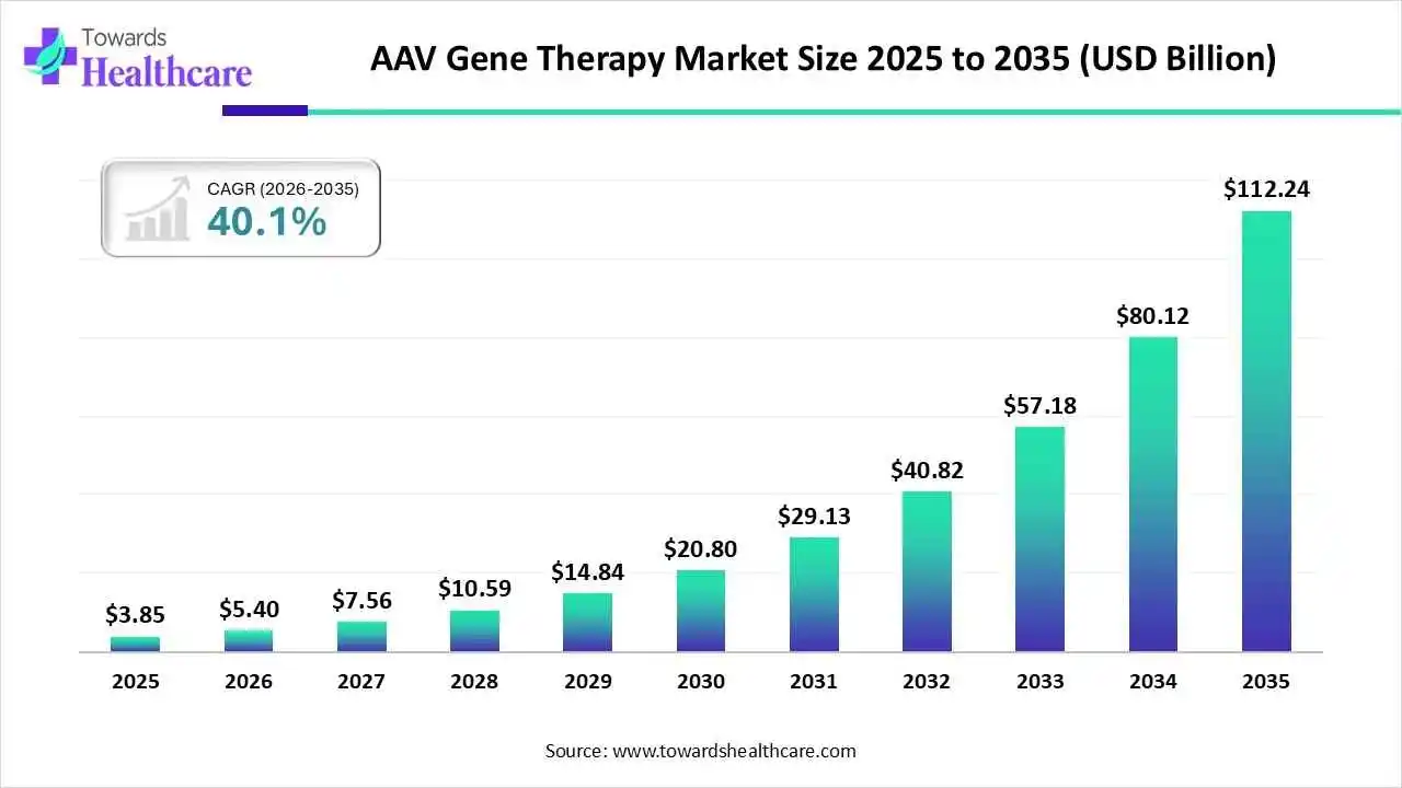 AAV Gene Therapy Market Size 2025 to 2035 AAV Gene Therapy Market Trends and Growth (2026)