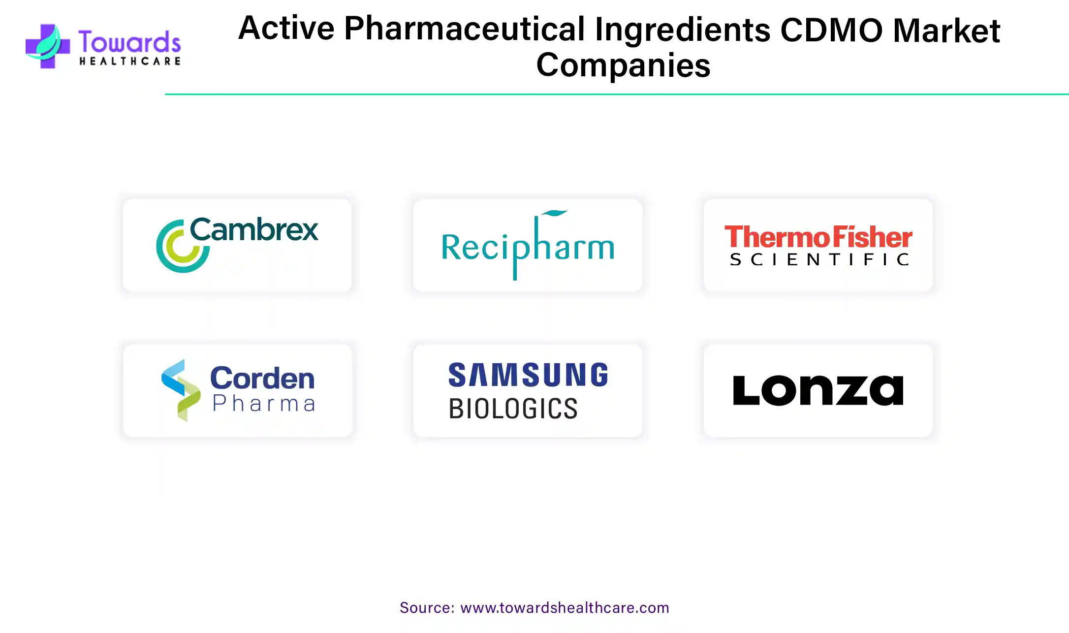 Active Pharmaceutical Ingredients CDMO Market Companies Active Pharmaceutical Ingredients CDMO Market Companies