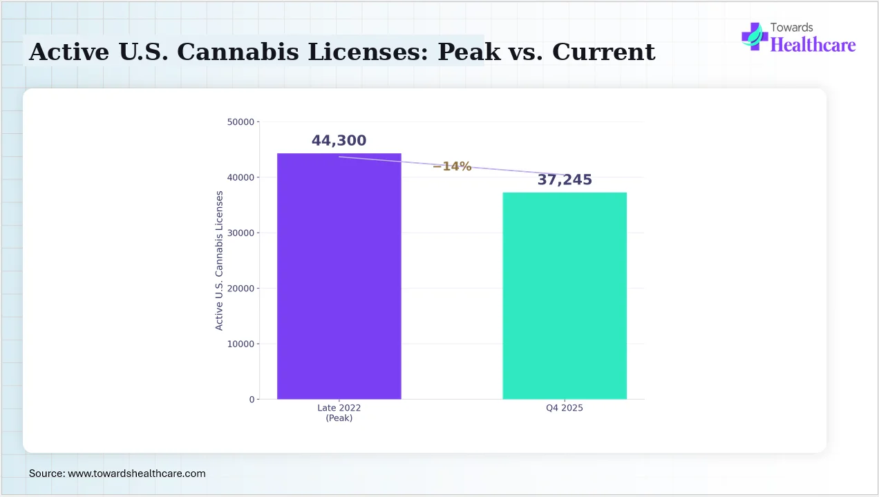 Active U.S. Cannabis Licenses: Peak vs. Current Active U.S. cannabis business licenses have declined since their 2022 peak.