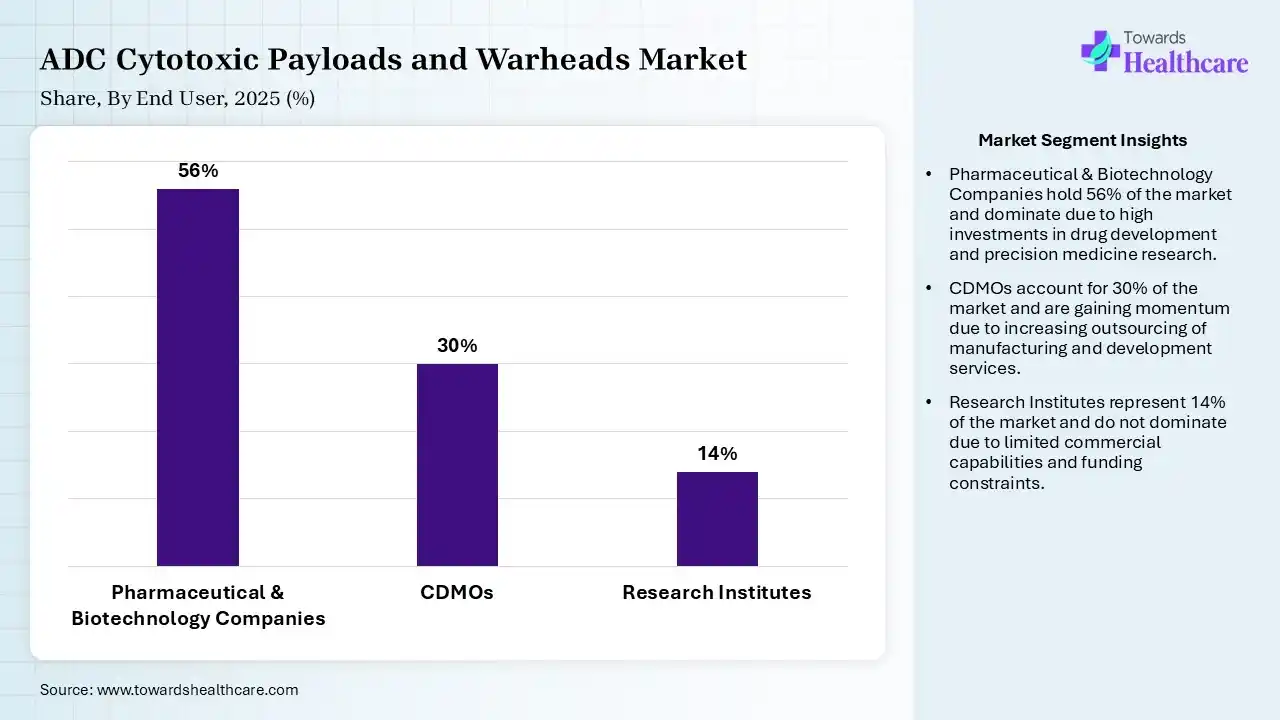 ADC Cytotoxic Payloads and Warheads Market Share, By End User, 2025 (%) ADC Cytotoxic Payloads and Warheads Market By End User, (Pharmaceutical & Biotechnology Companies) Segment Dominates by 56% in 2025.