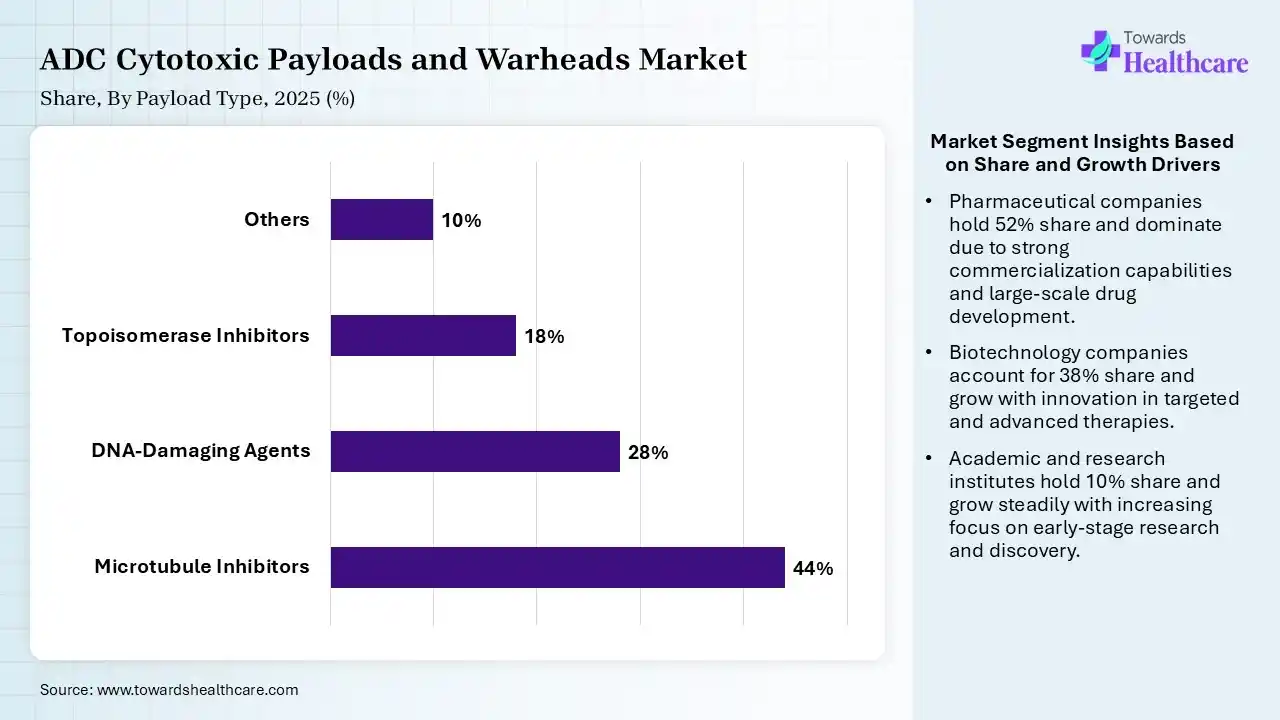 ADC Cytotoxic Payloads and Warheads Market Share, By Payload Type, 2025 (%) ADC Cytotoxic Payloads and Warheads Market By Payload Type, (Microtubule Inhibitors) Segment Dominates by 44% in 2025.