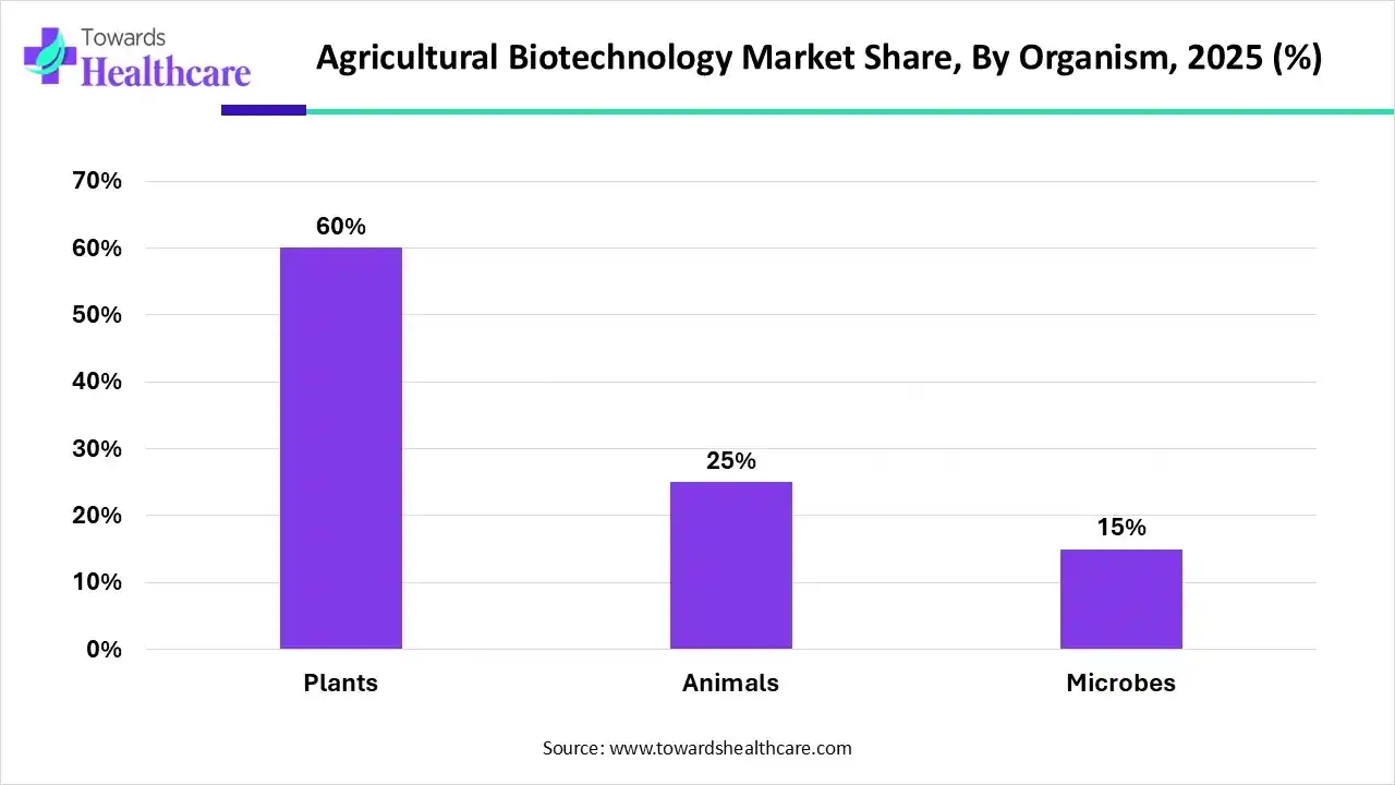 Agricultural Biotechnology Market Share, By Organism, 2025 (%) Agricultural Biotechnology Market, By Organism, (Plants) Segment Dominates by 60% in 2025.
