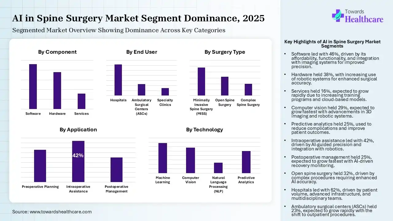 AI in Spine Surgery Market Segmentation AI in Spine Surgery Market Segmentation