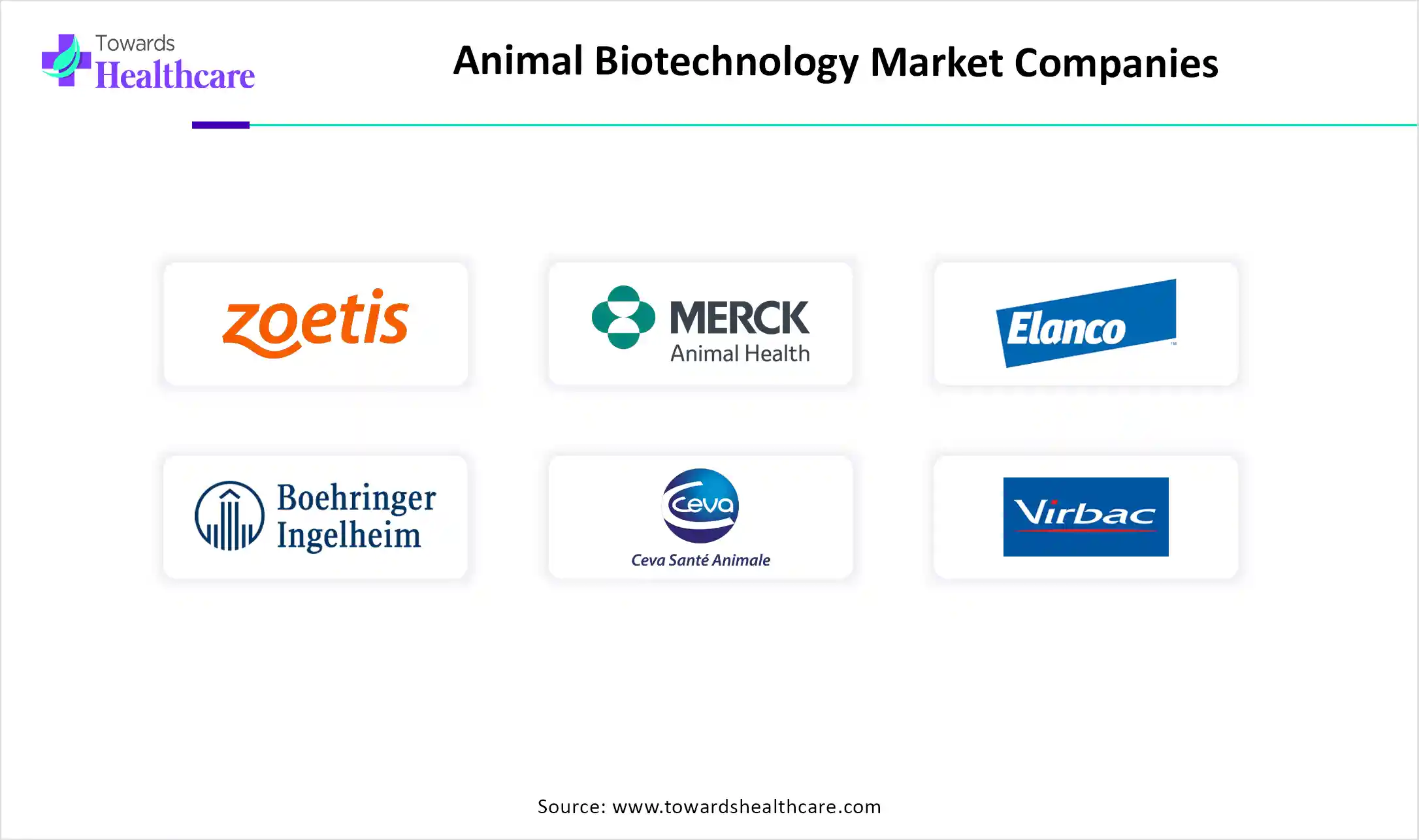 Animal Biotechnology Market Companies Animal Biotechnology Market Companies