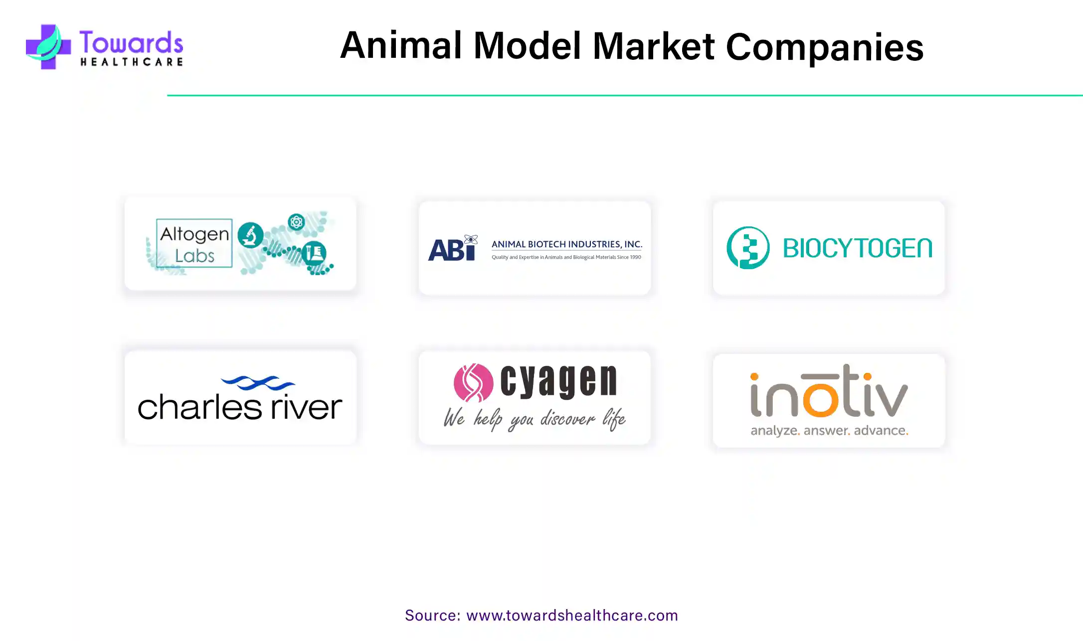 Animal Model Market Companies Animal Model Market Companies