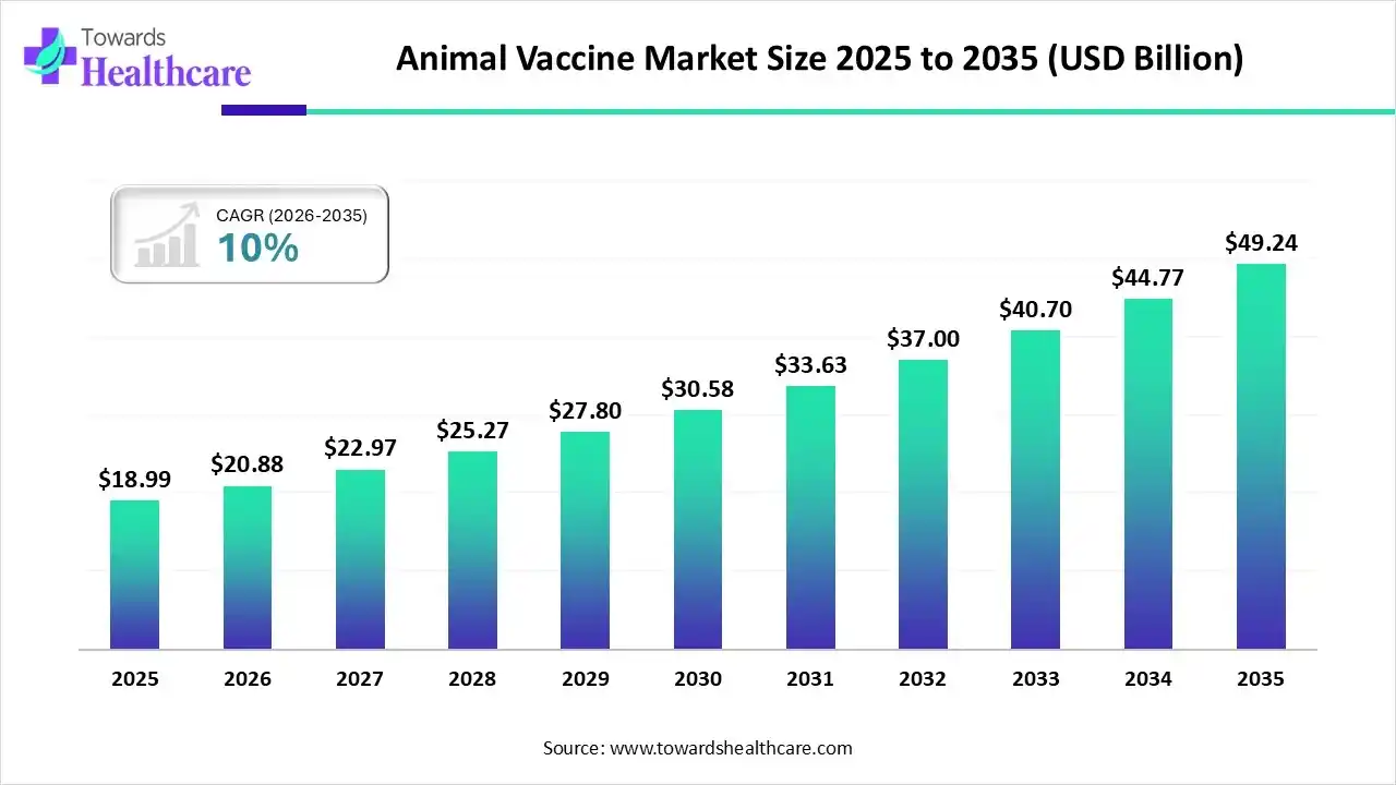 Animal Vaccine Market Size 2025 - 2035 (USD Billion) Animal Vaccine Market Size is USD 20.88 Billion in 2026.