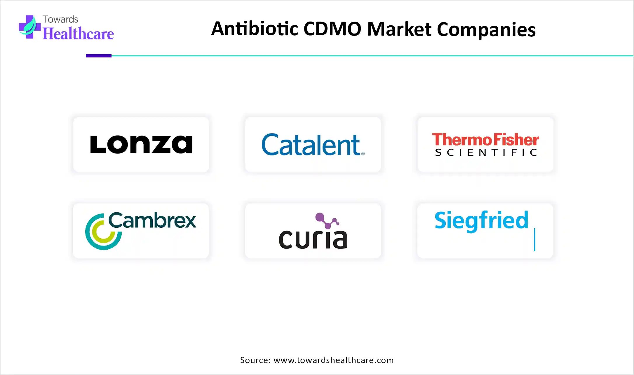 Antibiotic CDMO Market Top Key Players Antibiotic CDMO Market Companies