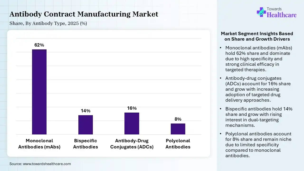 Antibody Contract Manufacturing Market Share, By Antibody Type, 2025 (%) Antibody Contract Manufacturing Market By Antibody Type, (Monoclonal Antibodies (mAbs)) Segment Dominates by 62% in 2025.