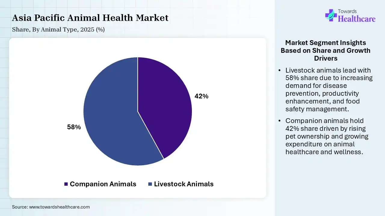 Asia Pacific Animal Health Market Share, By Animal Type, 2025 (%) Asia Pacific Animal Health Market By Animal Type, (Companion Animals) Segment Dominates by 42% in 2025