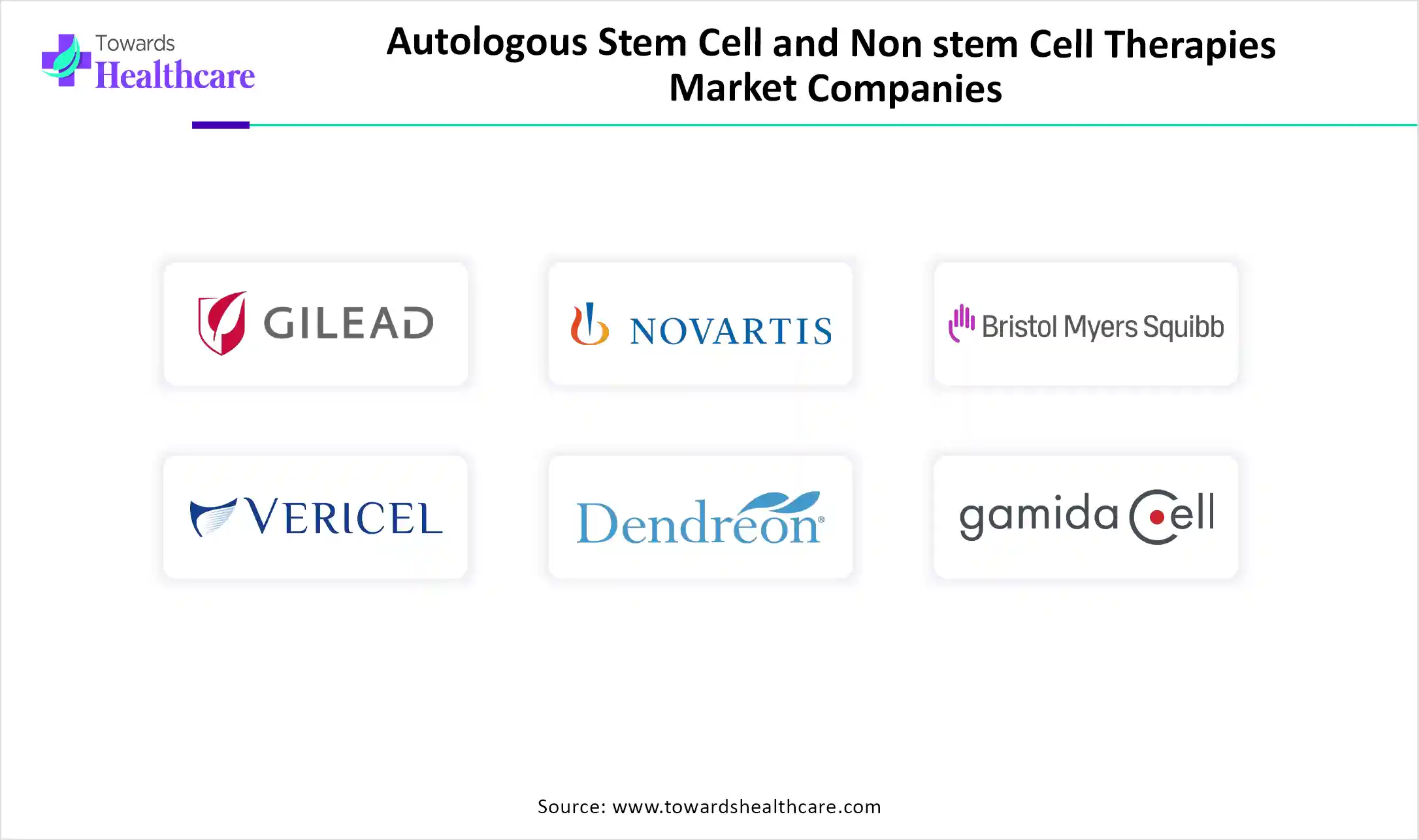 Autologous Stem Cell and Non stem Cell Therapies Market Top Key Players Autologous Stem Cell and Non stem Cell Therapies Market Companies
