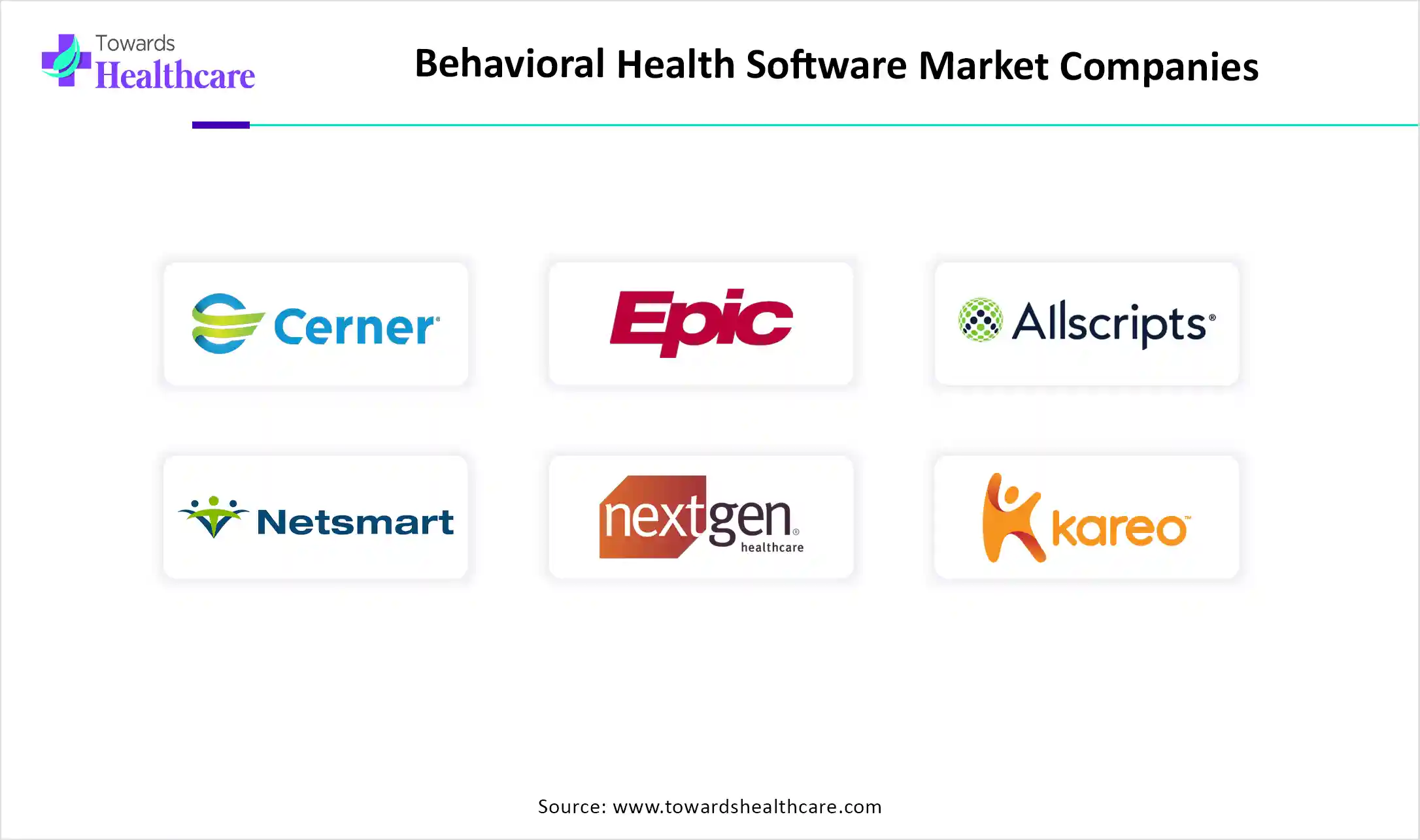 Behavioral Health Software Market Companies