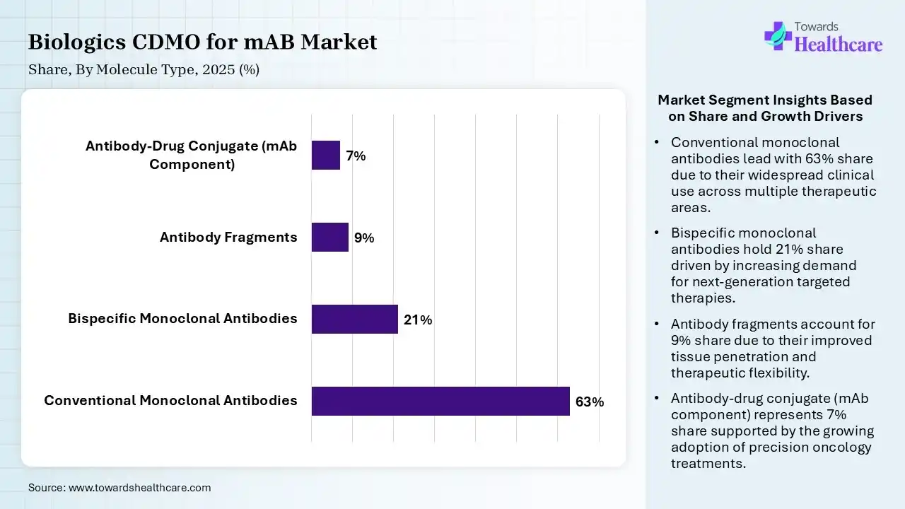 Biologics CDMO for mAB Market By Molecule Type, (Conventional Monoclonal Antibodies) Segment Dominates by 63% in 2025.