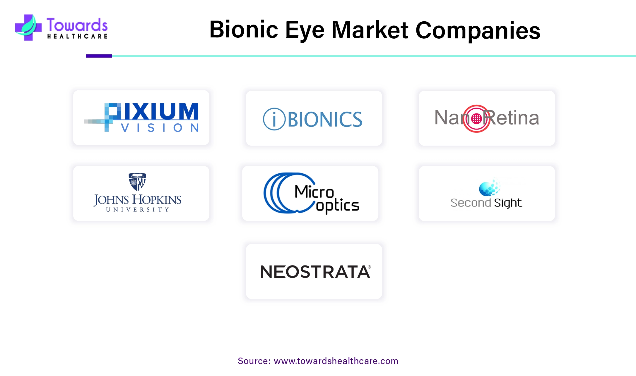 Bionic Eye Market Companies Bionic Eye Market Companies