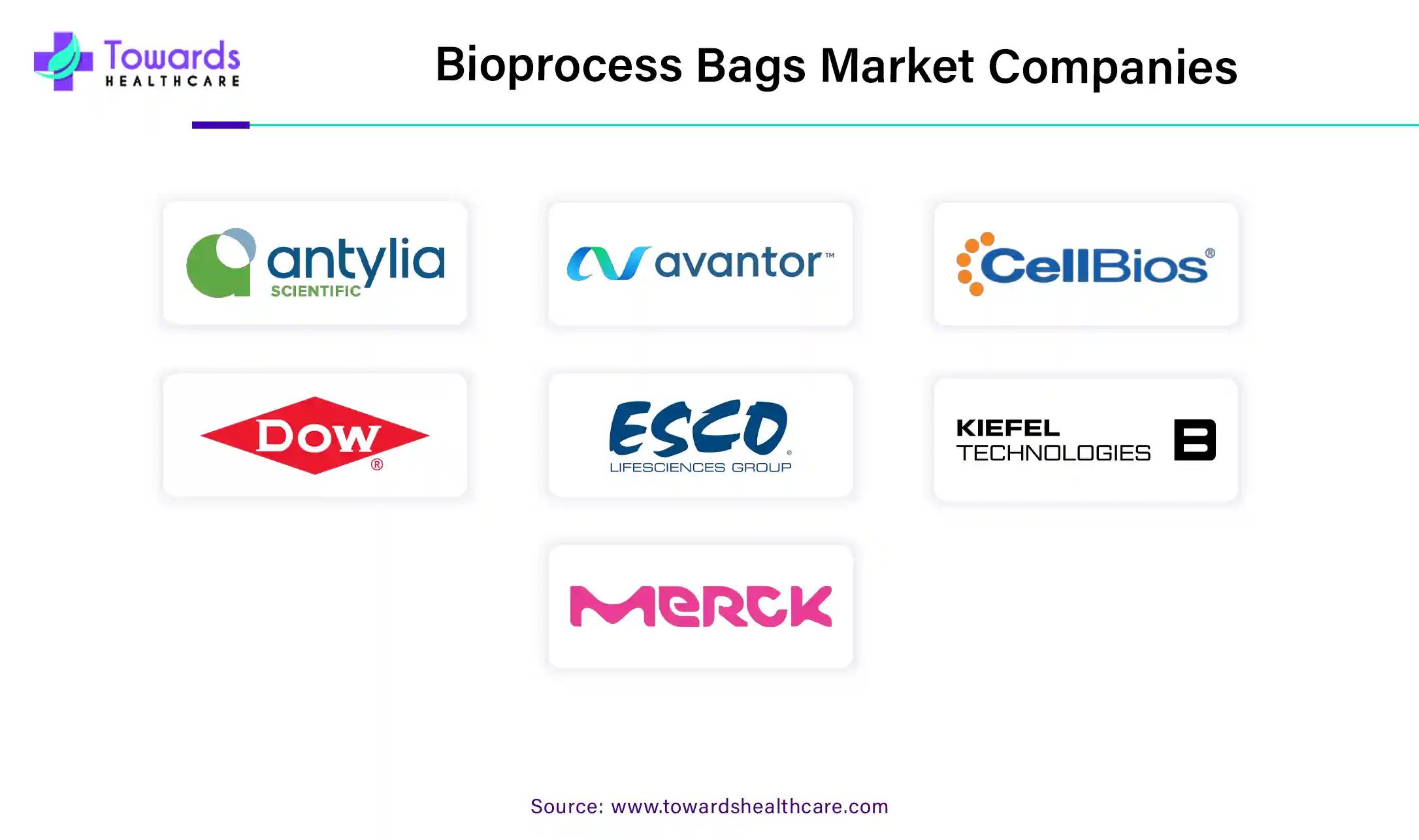 Bioprocess Bags Market Companies Bioprocess Bags Market Companies
