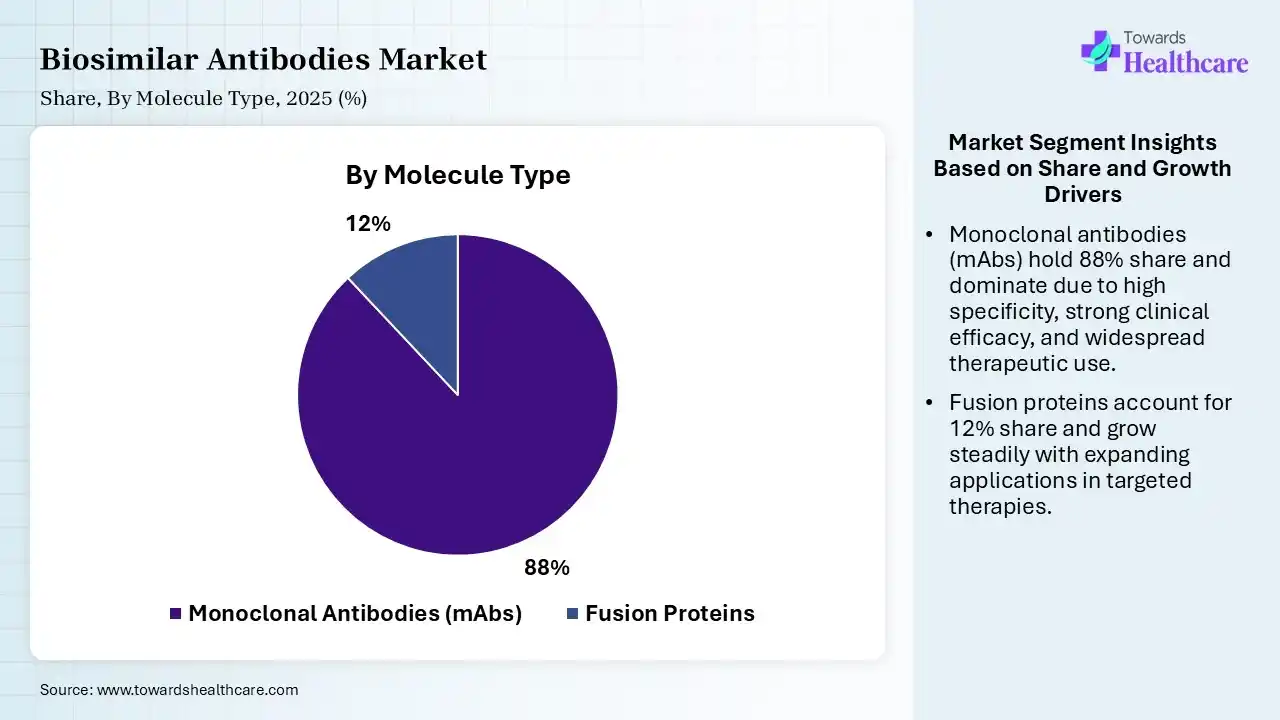 Biosimilar Antibodies Market Share, By Molecule Type, 2025 (%) Biosimilar Antibodies Market By Molecule Type, (Monoclonal Antibodies (mAbs)) Segment Dominates by 88% in 2025.