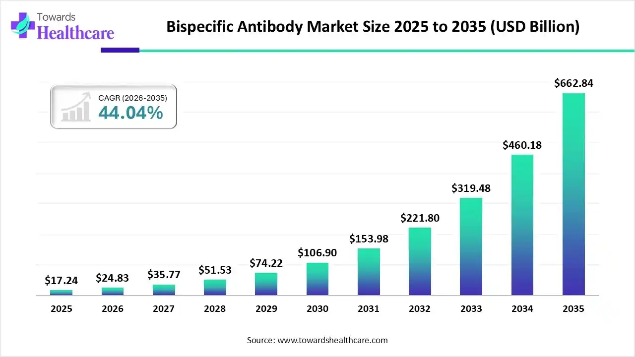 Bispecific Antibody Market Size 2024 - 2034