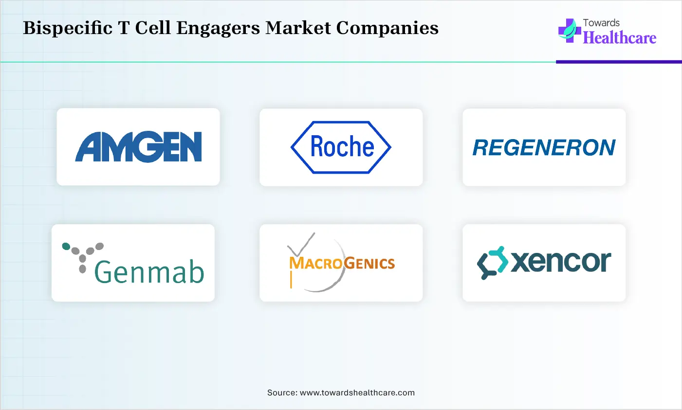 Bispecific T Cell Engagers Market Companies are Amgen, Roche / Genentech, Regeneron Pharmaceuticals, Genmab, MacroGenics, Xencor, Pfizer