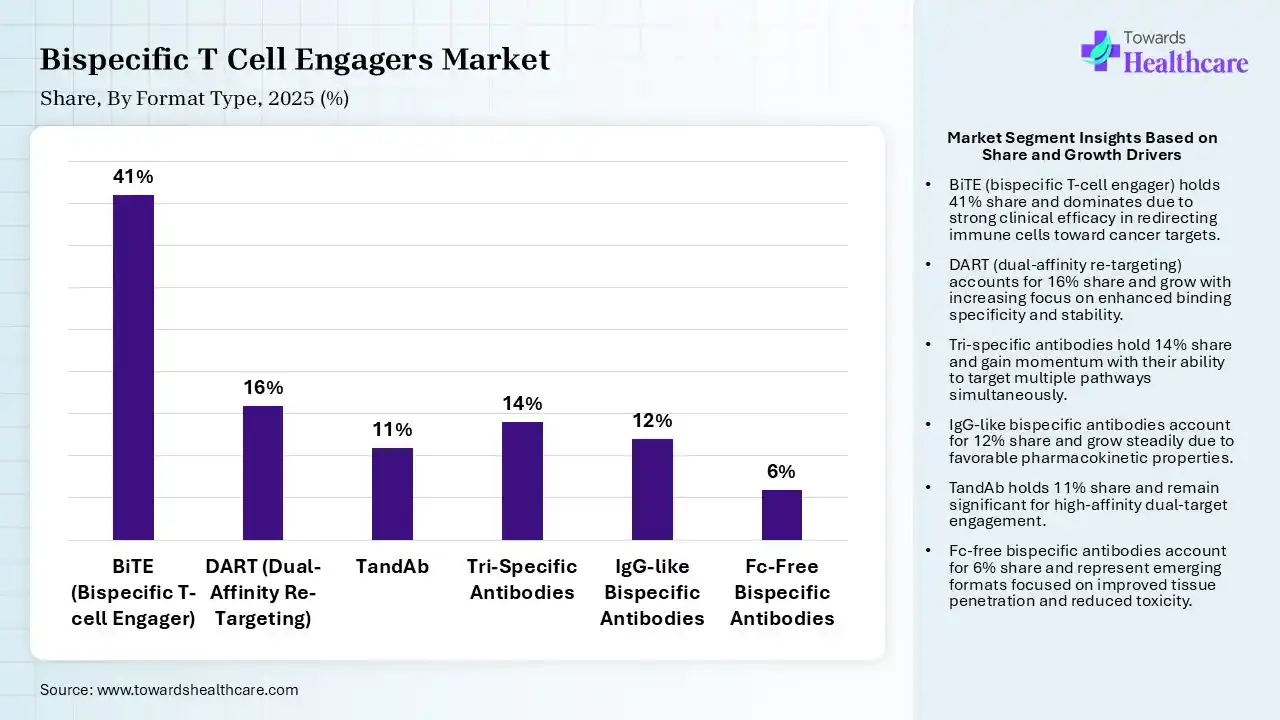 Bispecific T Cell Engagers Market By Format Type, (BiTE (Bispecific T-cell Engager)) Segment Dominates by 41% in 2025.