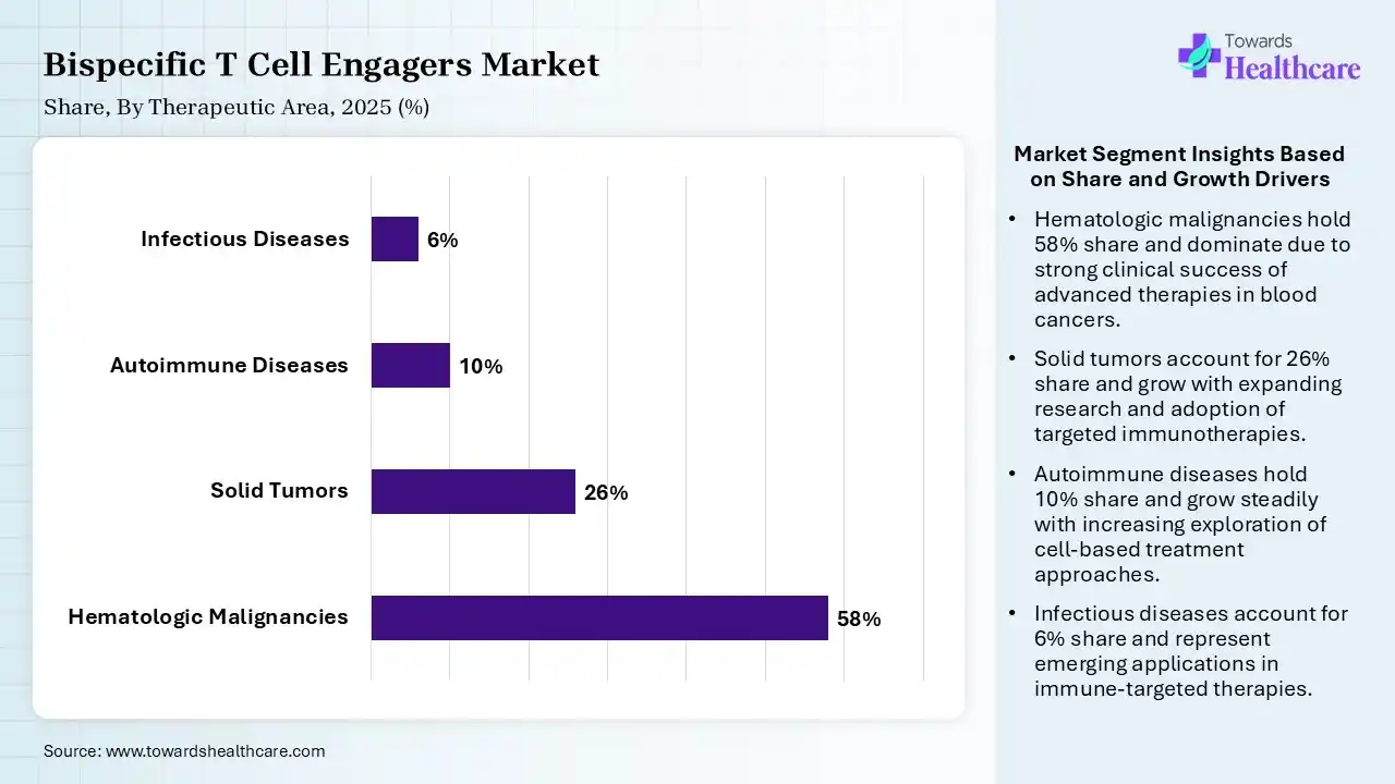 Bispecific T Cell Engagers Market By Therapeutic Area, (Hematologic Malignancies) Segment Dominates by 58% in 2025.