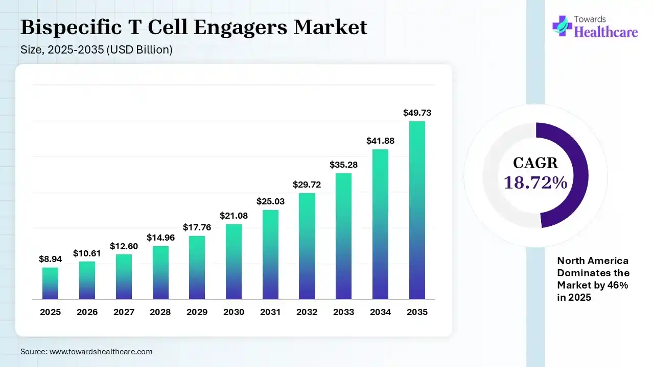 Bispecific T Cell Engagers Market Size is USD 10.61 Billion in 2026.