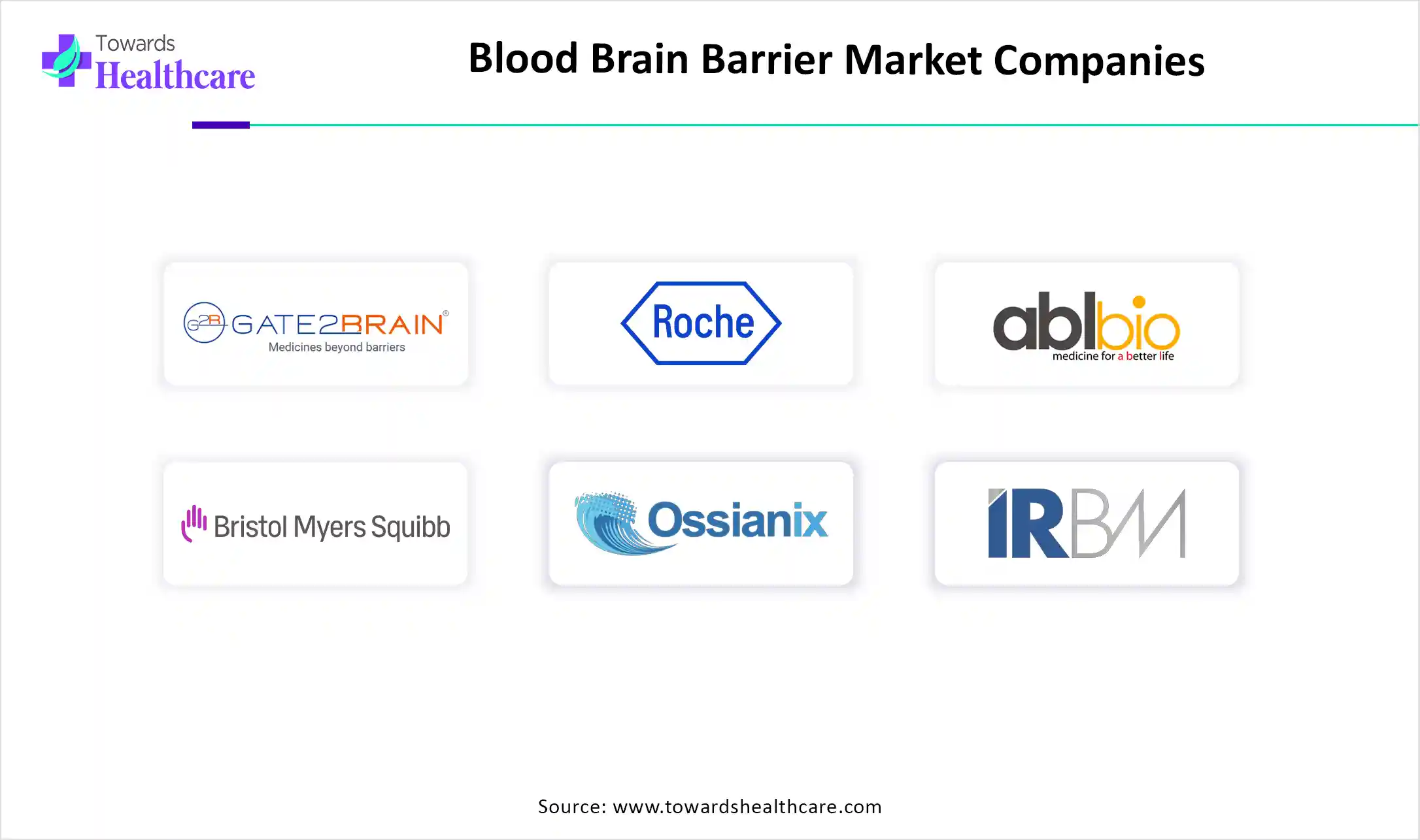 Blood Brain Barrier Market Companies Blood Brain Barrier Market Key Players