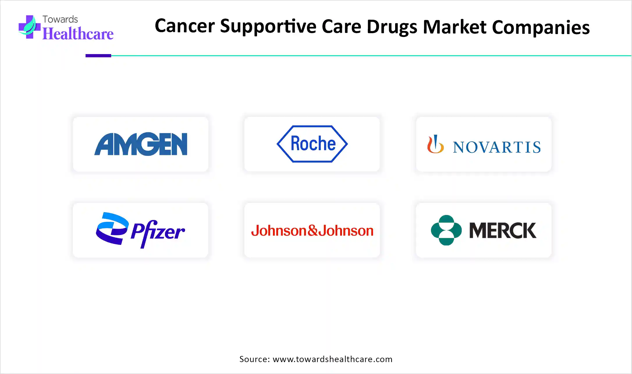 Cancer Supportive Care Drugs Market Top Key Players Cancer Supportive Care Drugs Market Companies