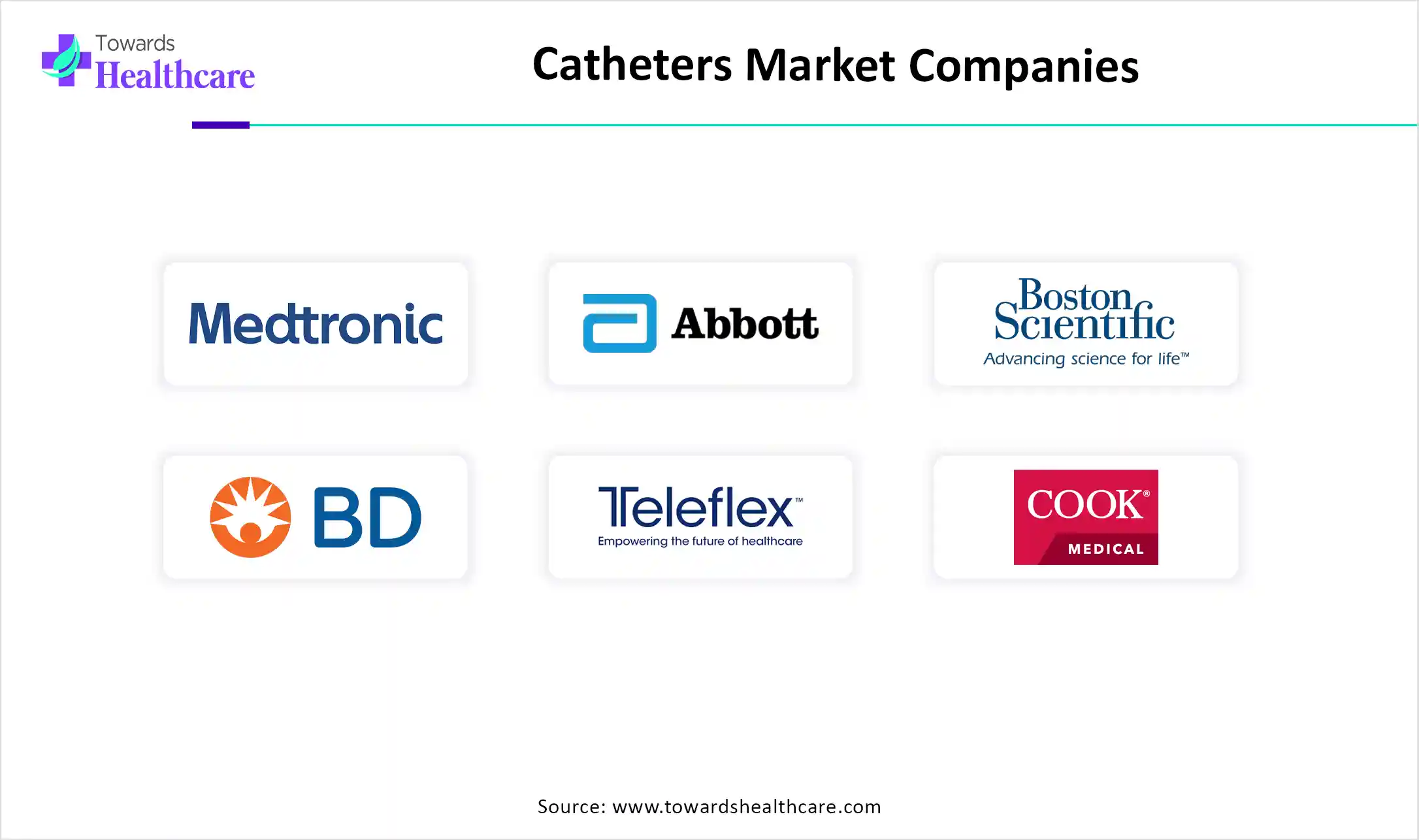 Catheters Market Top key Players Catheters Market Companies