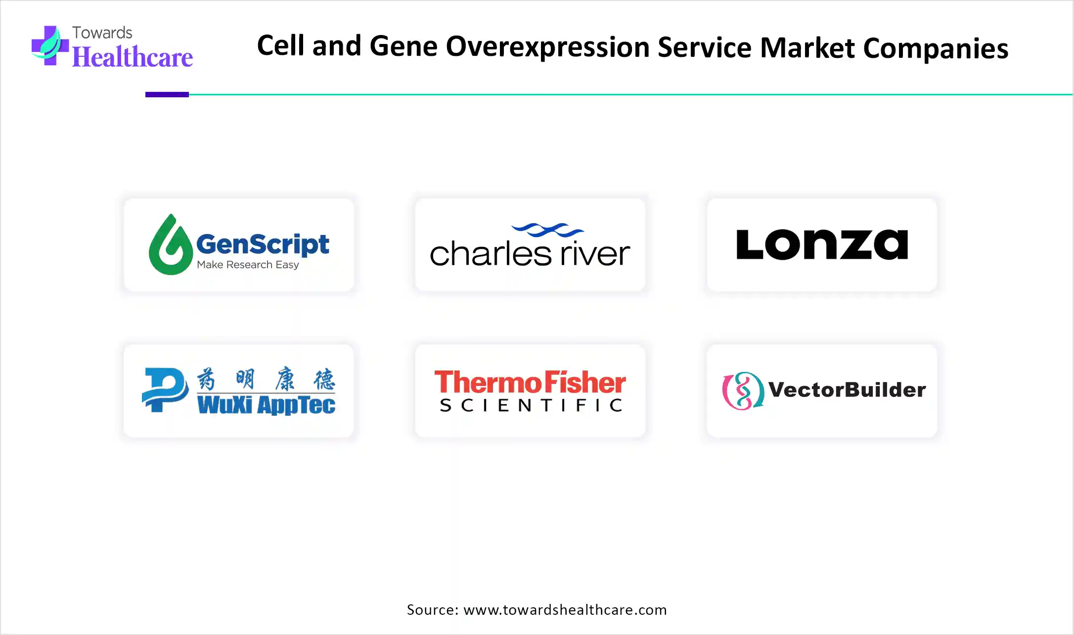 Cell and Gene Overexpression Service Market Top Key Players Cell and Gene Overexpression Service Market Companies