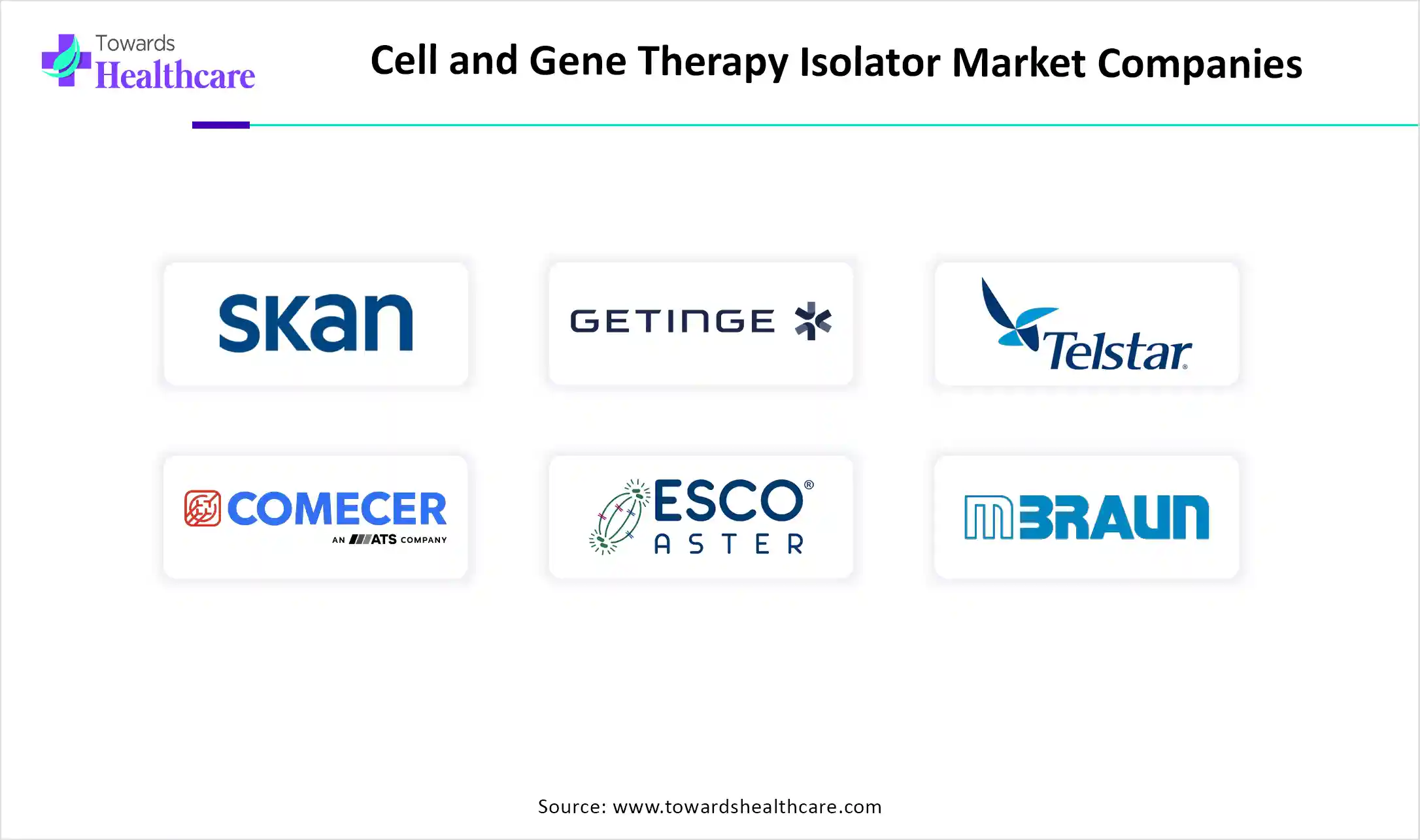 Cell and Gene Therapy Isolator Market Companies