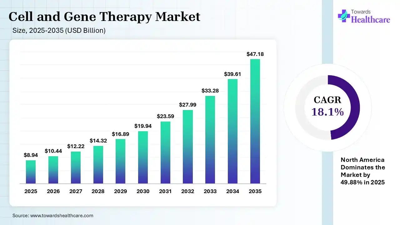 Cell and Gene Therapy Market Size 2025 - 2035 (USD Billion) Cell and Gene Therapy Market Size is USD 10.44 Billion in 2026.