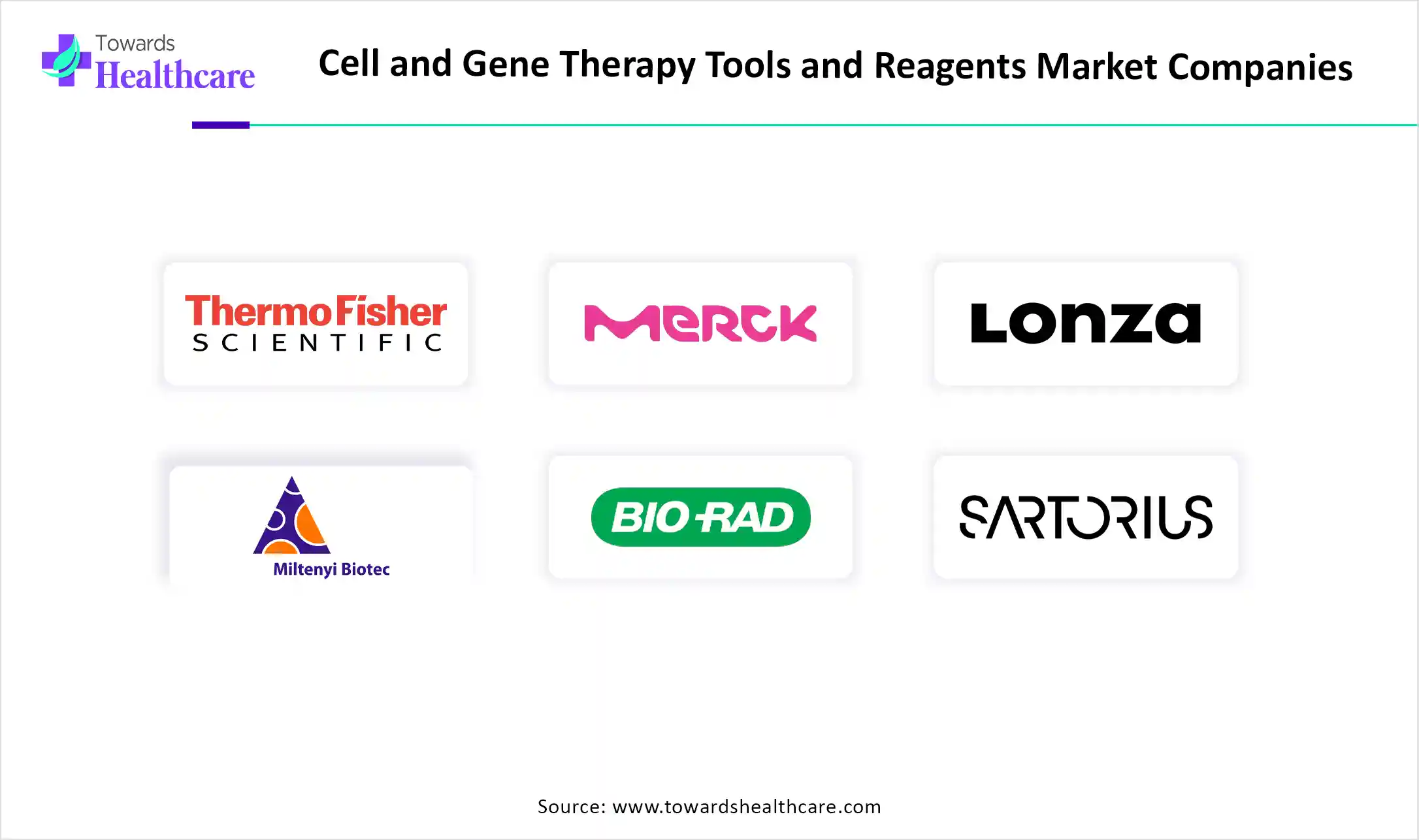 Cell and Gene Therapy Tools and Reagents Market Top Key Players Cell and Gene Therapy Tools and Reagents Market Companies