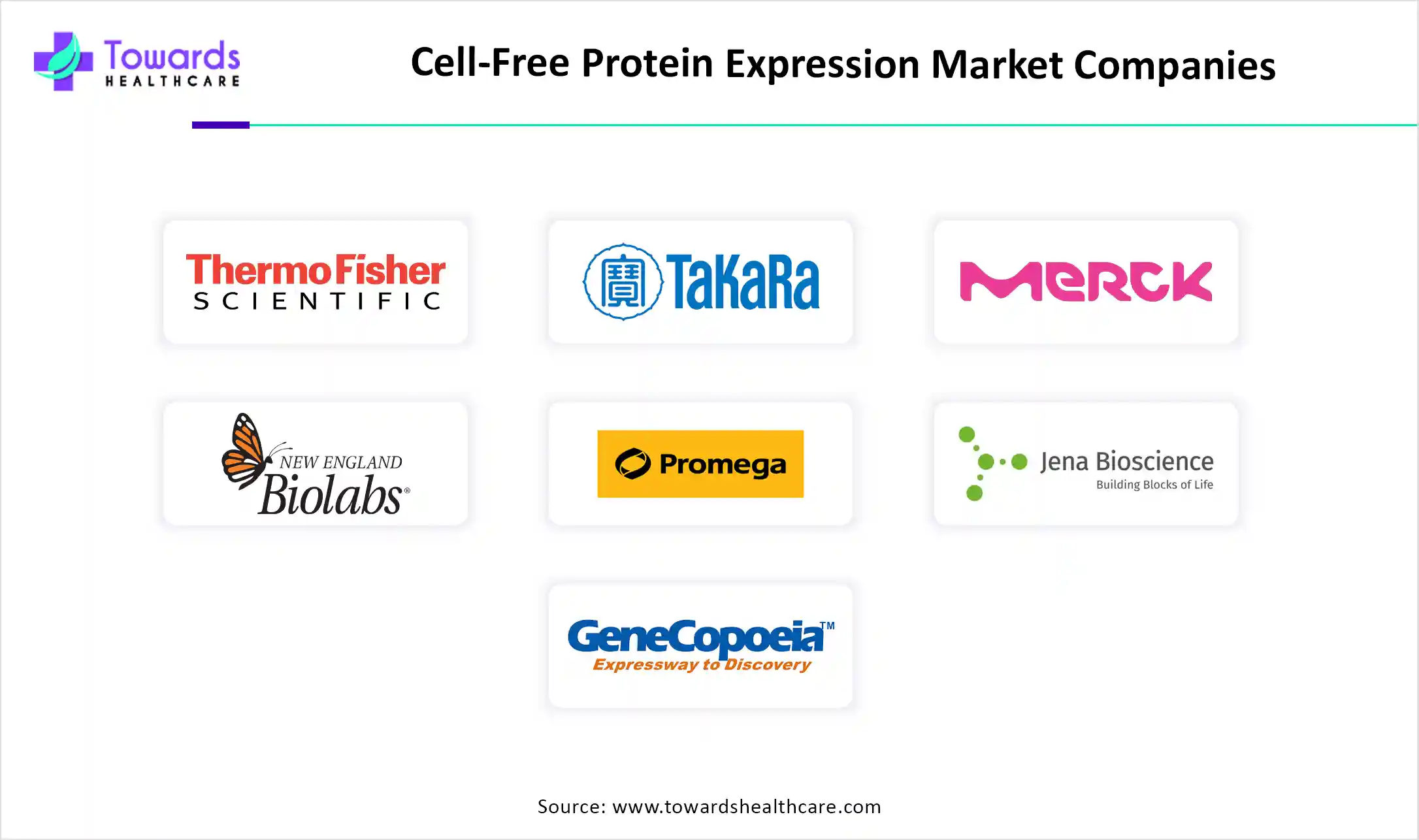 Cell-Free Protein Expression Market Companies Cell-Free Protein Expression Market Companies