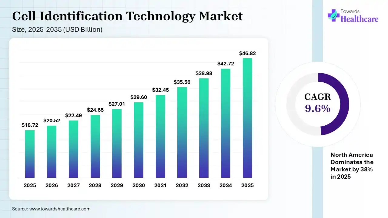 Cell Identification Technology Market Size 2025 - 2035 (USD Billion) Cell Identification Technology Market Size is USD 20.52 Billion in 2026.