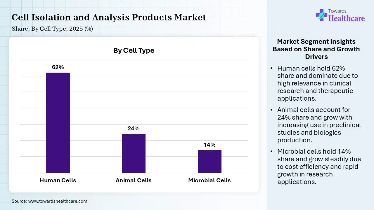 Cell Isolation and Analysis Products Market Share, By Cell Type, 2025 (%) Cell Isolation and Analysis Products Market By Cell Type, (Human Cells) Segment Dominates by 62% in 2025.