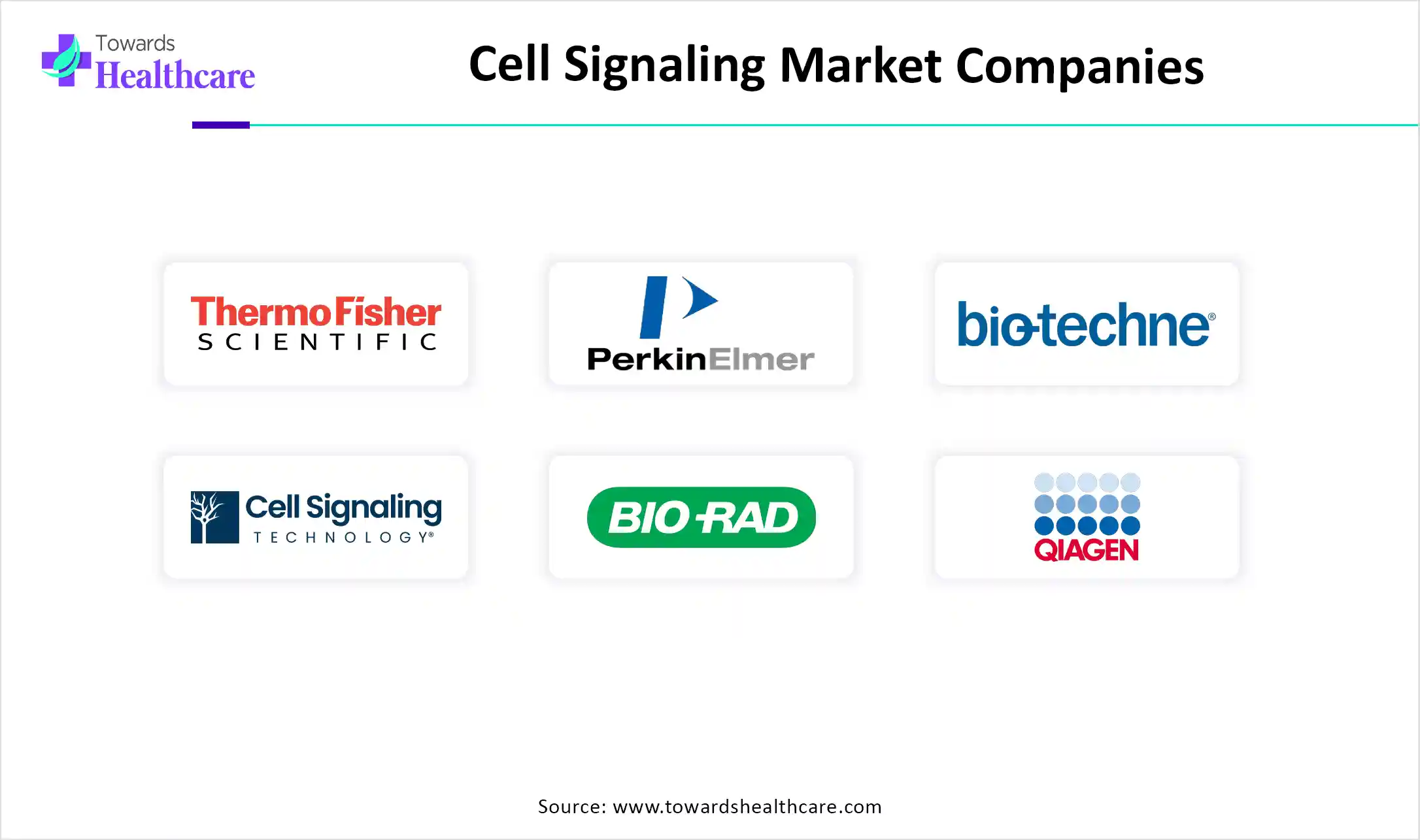 Cell Signaling Market Companies Cell Signaling Market Companies