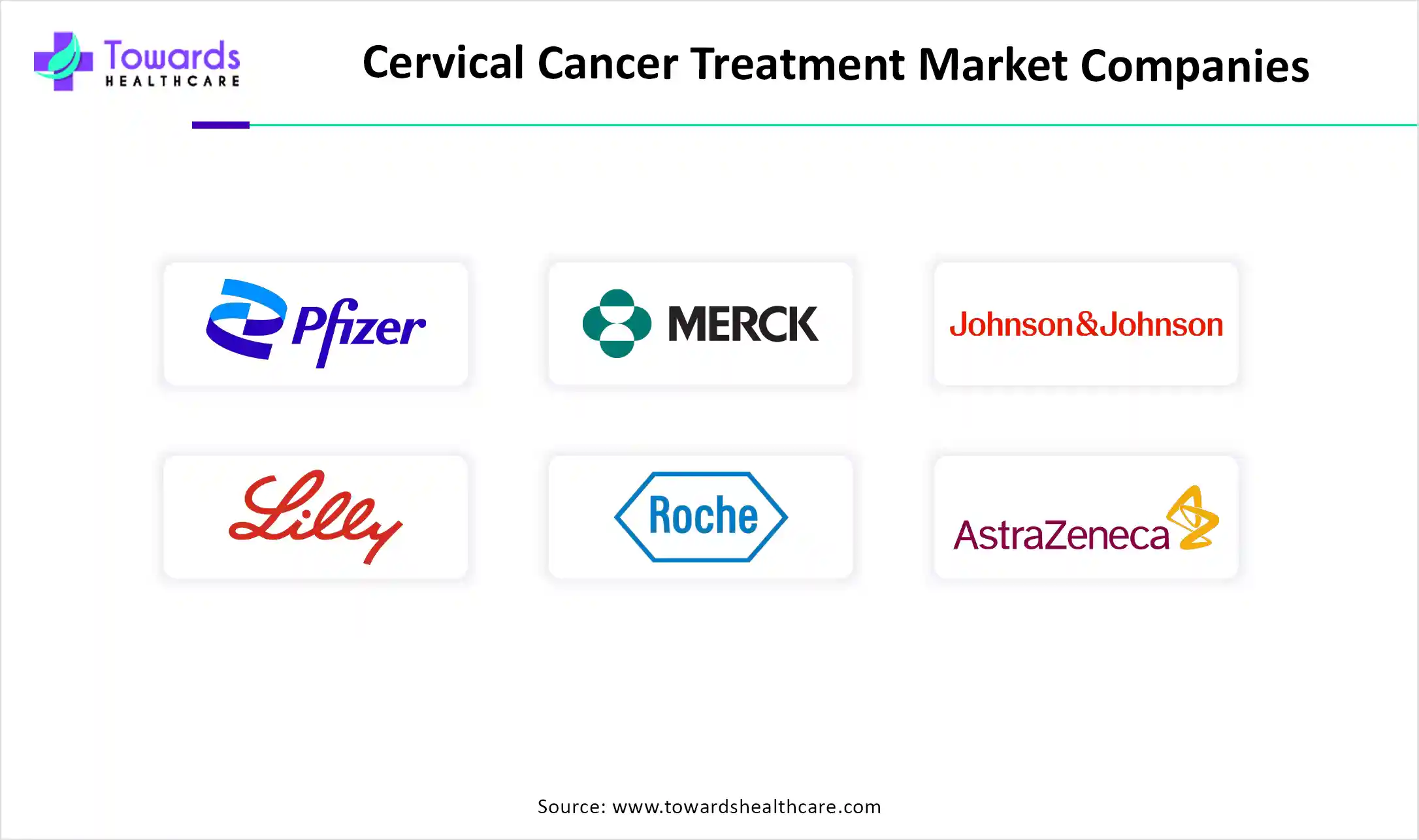 Cervical Cancer Treatment Market Companies Cervical Cancer Treatment Market Companies