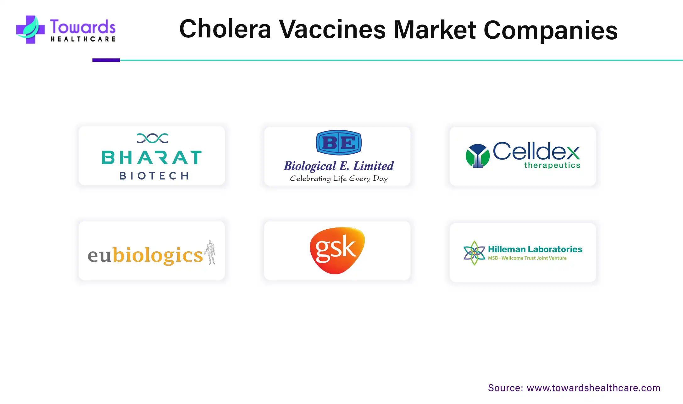 Cholera Vaccines Market Companies Cholera Vaccines Market Companies