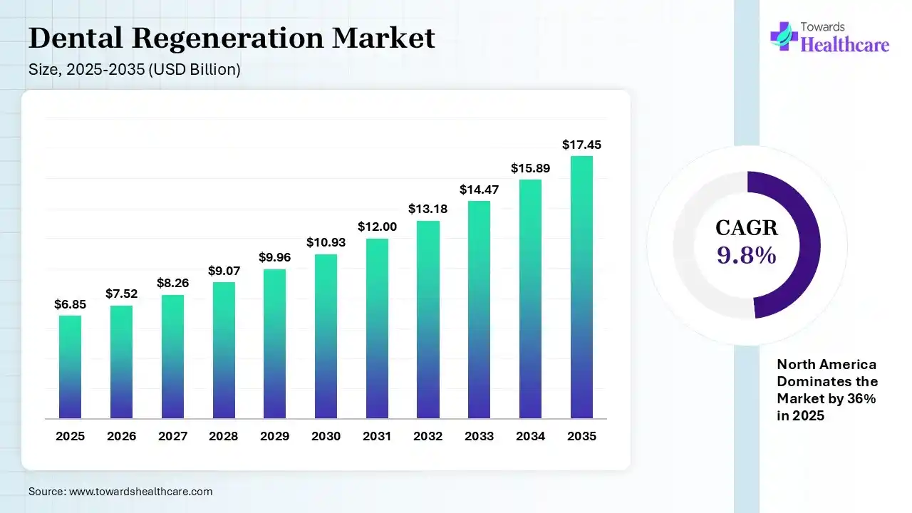 Dental Regeneration Market Size 2025 - 2035 (USD Billion) Dental Regeneration Market Size is USD 7.52 Billion in 2026.