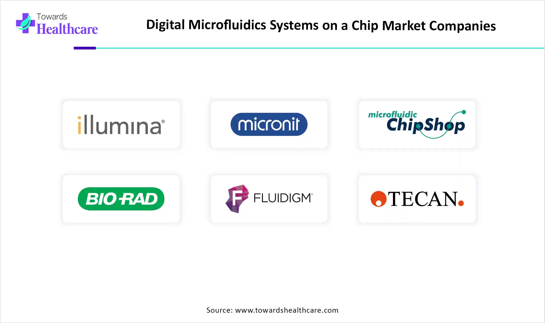 Digital Microfluidics Systems on a Chip Market Top Key Players Digital Microfluidics Systems on a Chip Market Companies