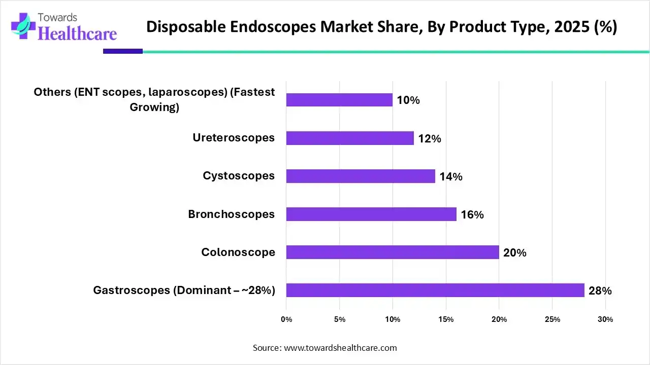 Disposable Endoscopes Market, By Product, (Gastroscopes) Segment Dominates by 28% in 2025.