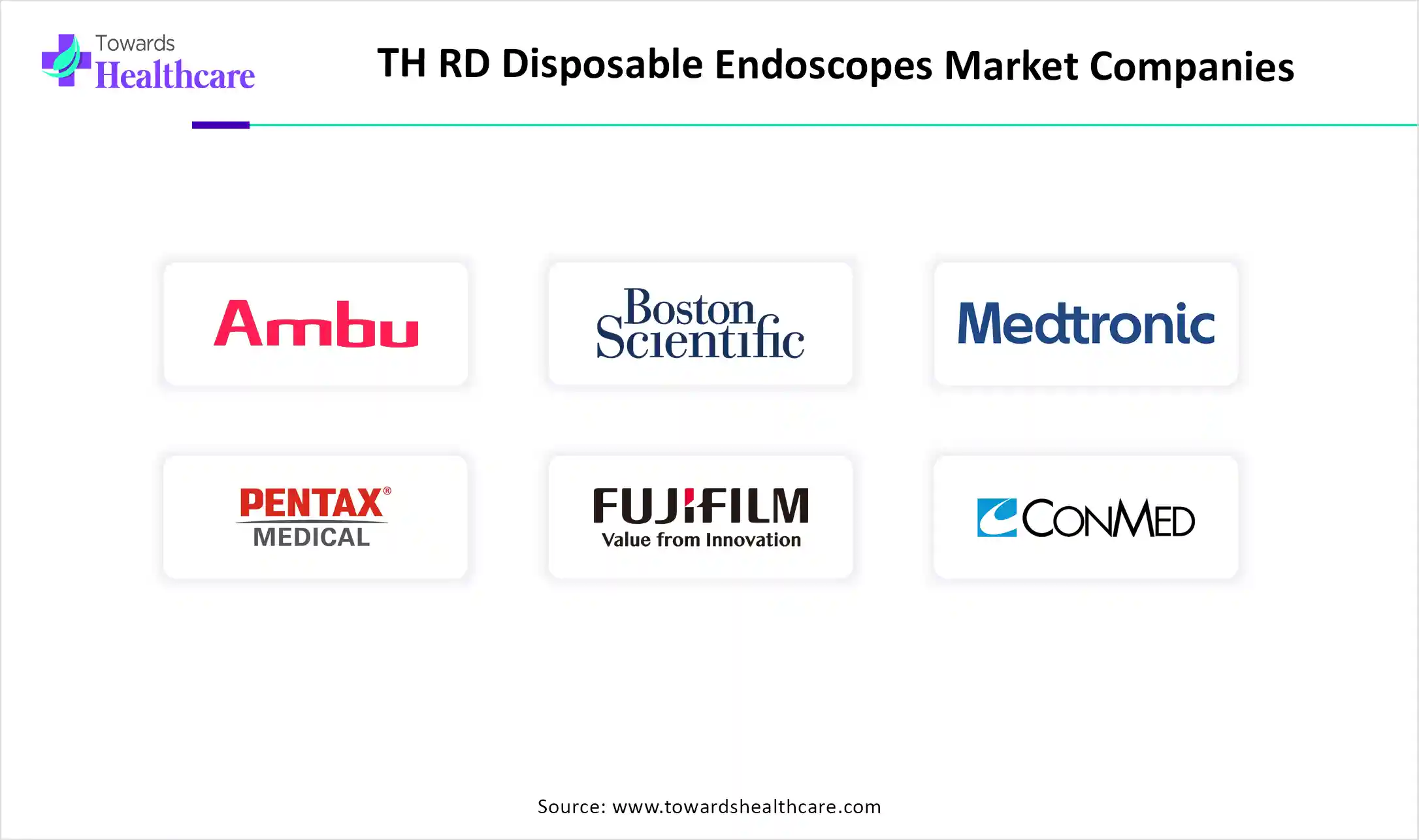 Disposable Endoscopes Market Companies