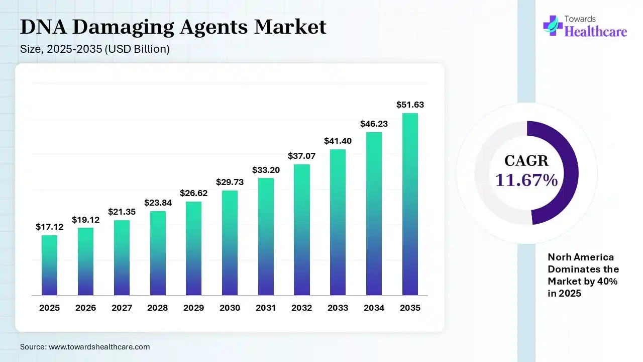 DNA Damaging Agents Market Size is USD 19.12 Billion in 2026.