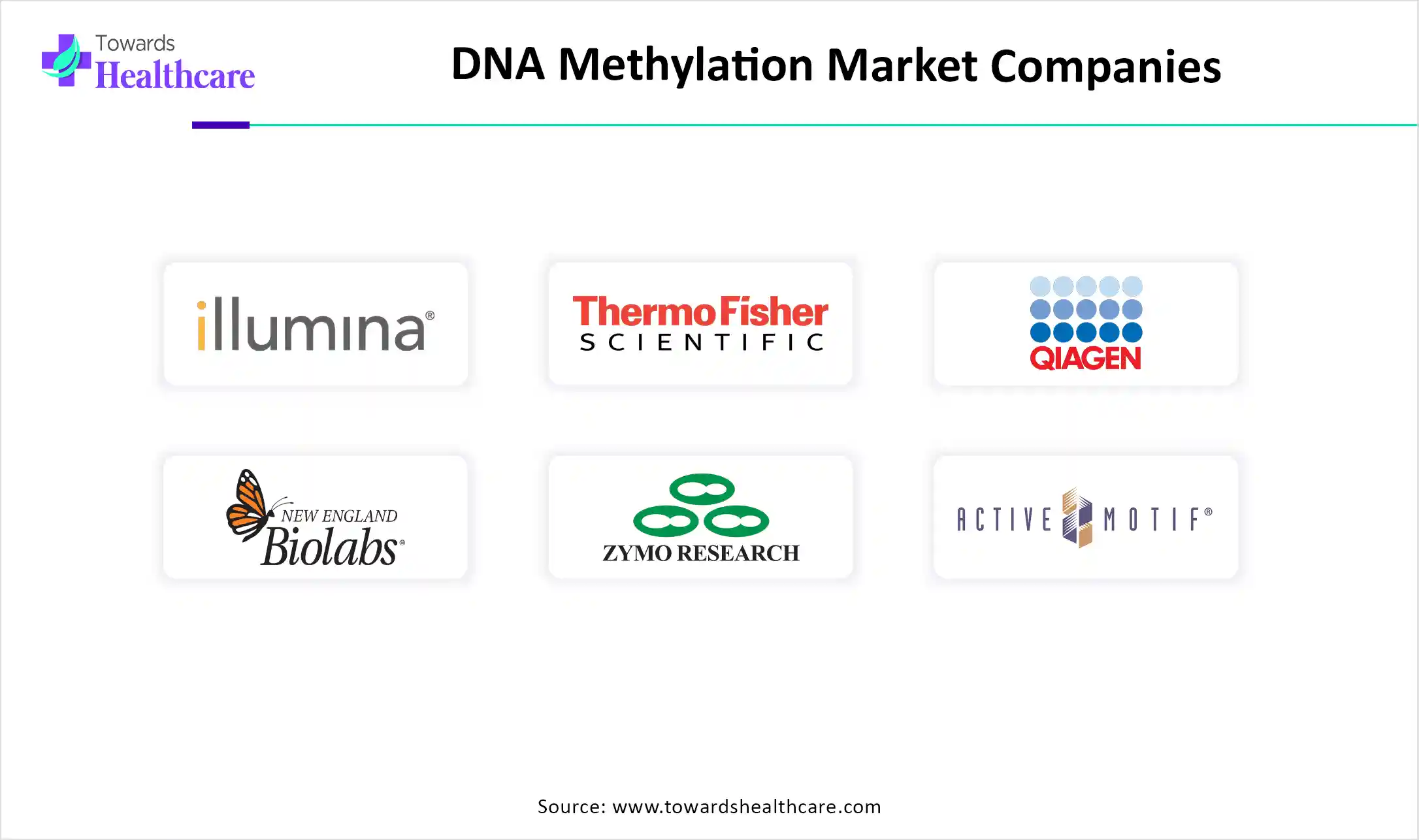 DNA Methylation Market Top Key Players DNA Methylation Market Companies