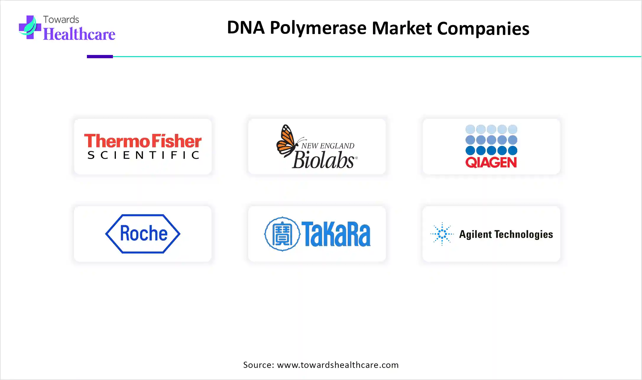 DNA Polymerase Market Companies DNA Polymerase Market Companies