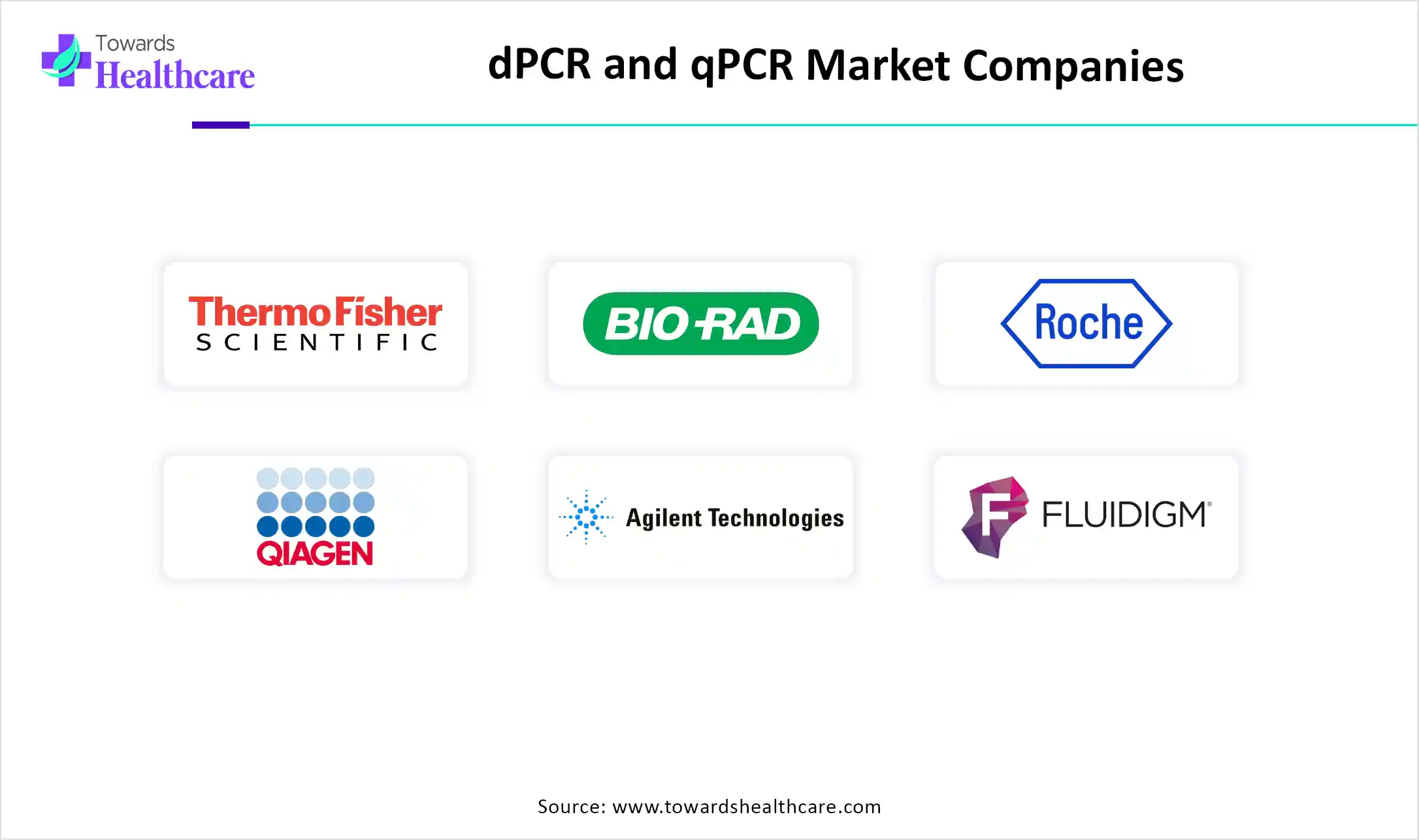 dPCR and qPCR Market Top Key Players dPCR and qPCR Market Companies