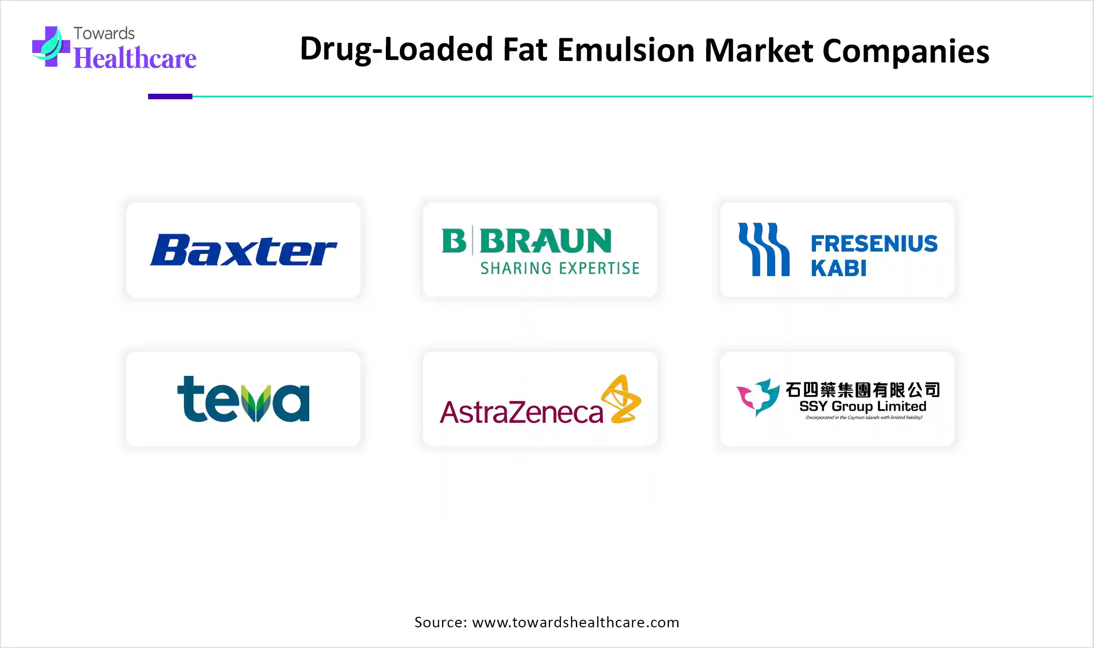 Drug-Loaded Fat Emulsion Market Top Key Players Drug-Loaded Fat Emulsion Market Companies