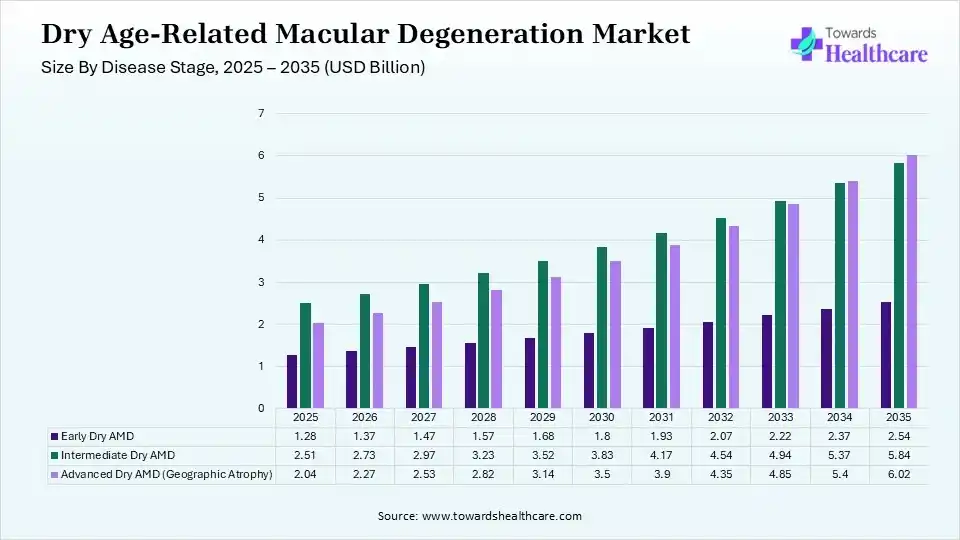 Dry Age-Related Macular Degeneration Market Size by Disease Type 2025 - 2035 (USD Billion)