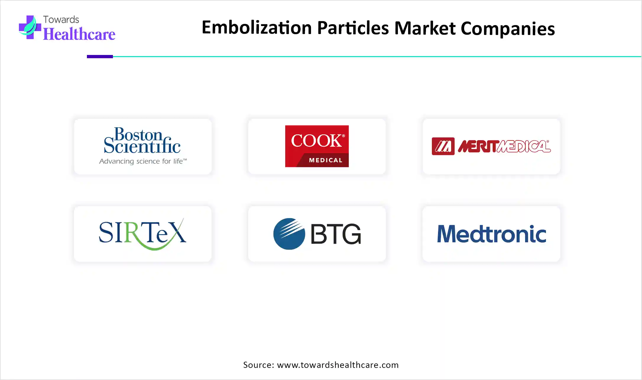 Embolization Particles Market Companies Embolization Particles Market Companies